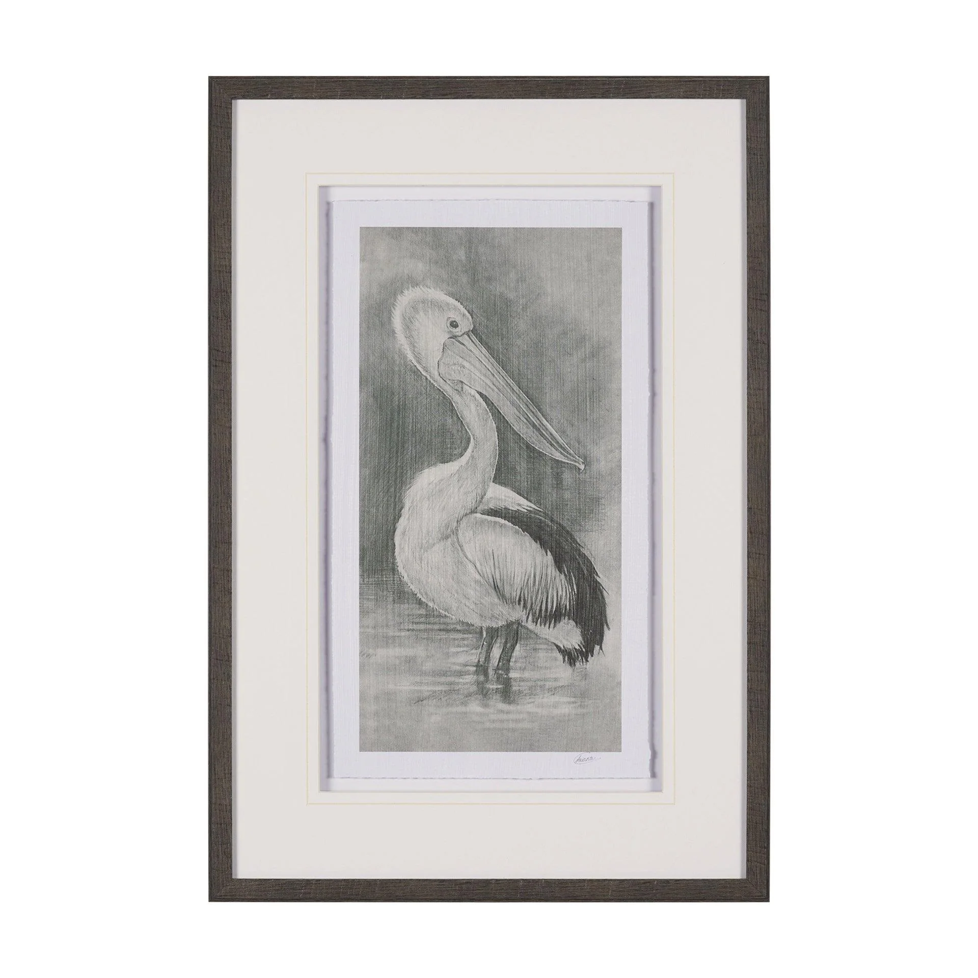 Pelican Sketch - Remutear