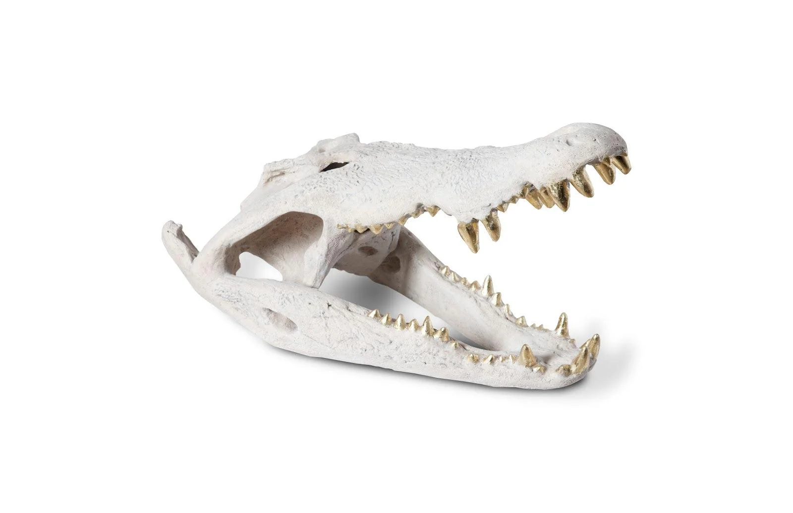 Crocodile Skull, Roman Stone, Gold Leaf - Remutear