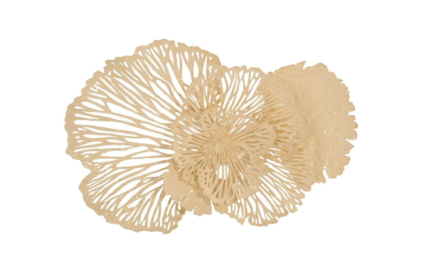 Flower Wall Art, Ivory, MD - Remutear