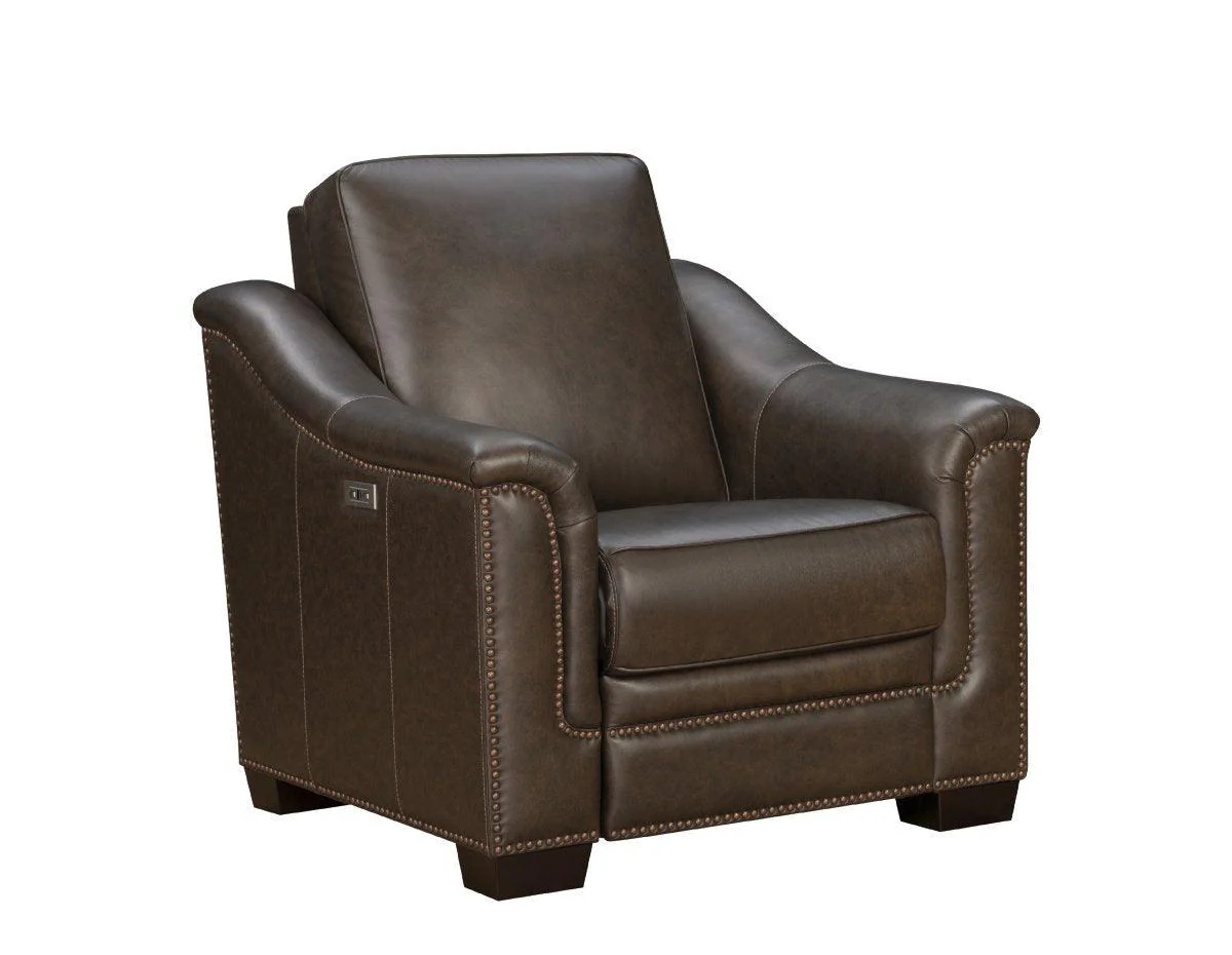 Chapel Hill Power Recliner - Remutear