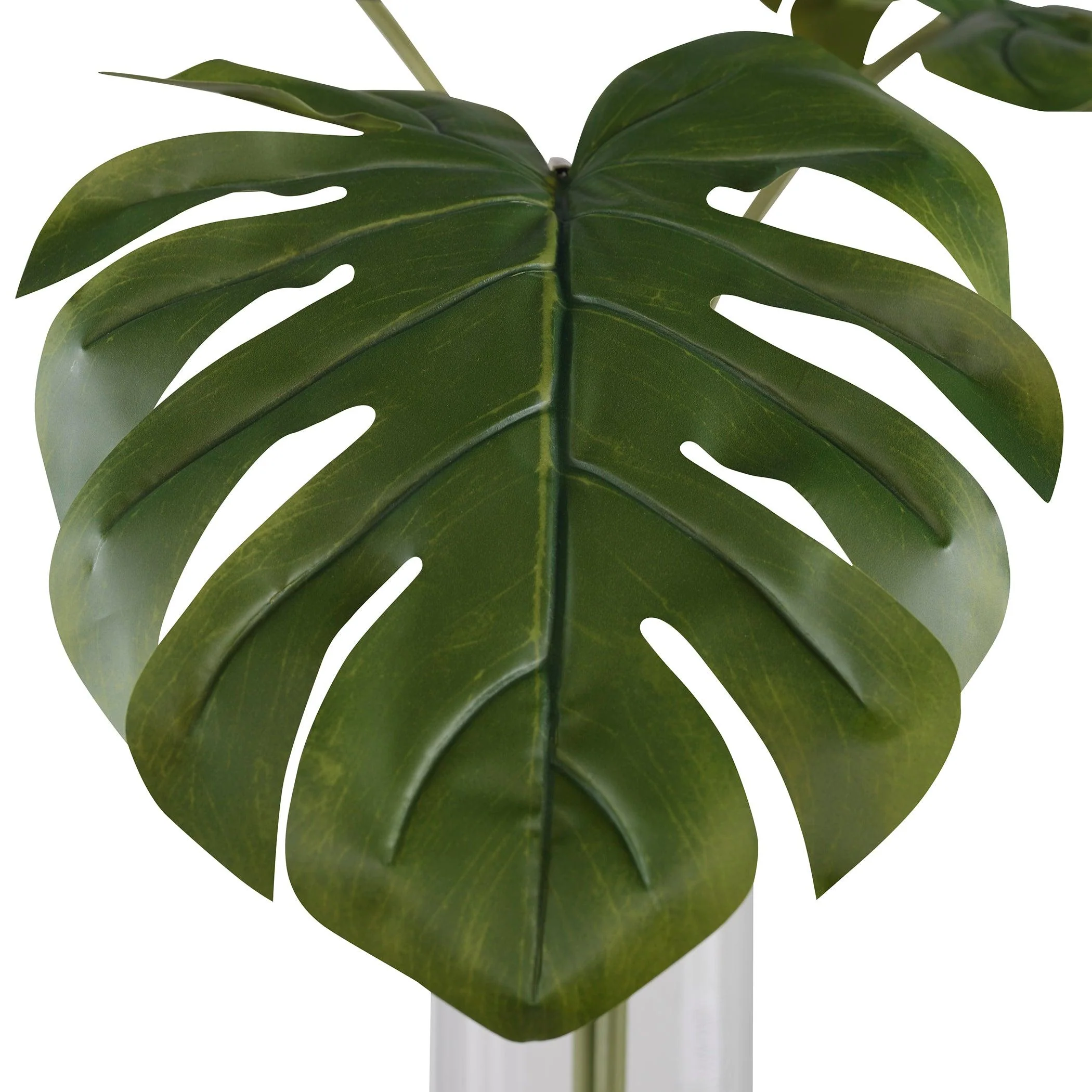 Ibero Split Leaf Palm - Remutear