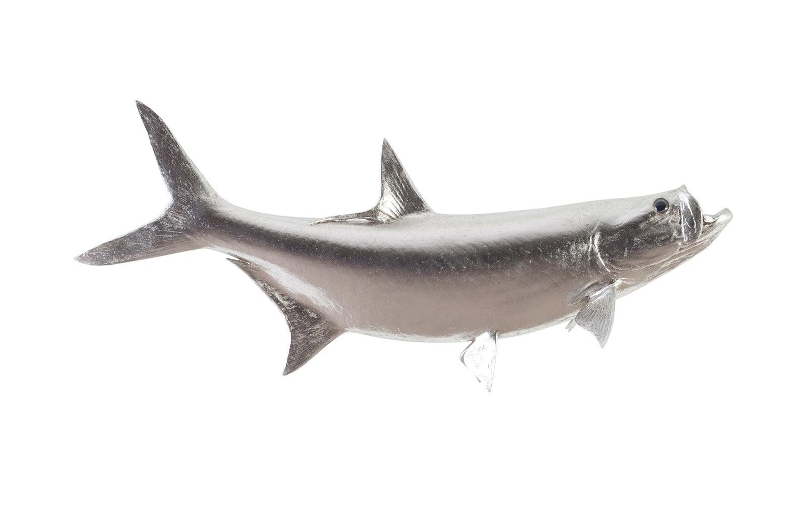 Tarpon Fish Wall Sculpture, Resin, Silver Leaf - Remutear