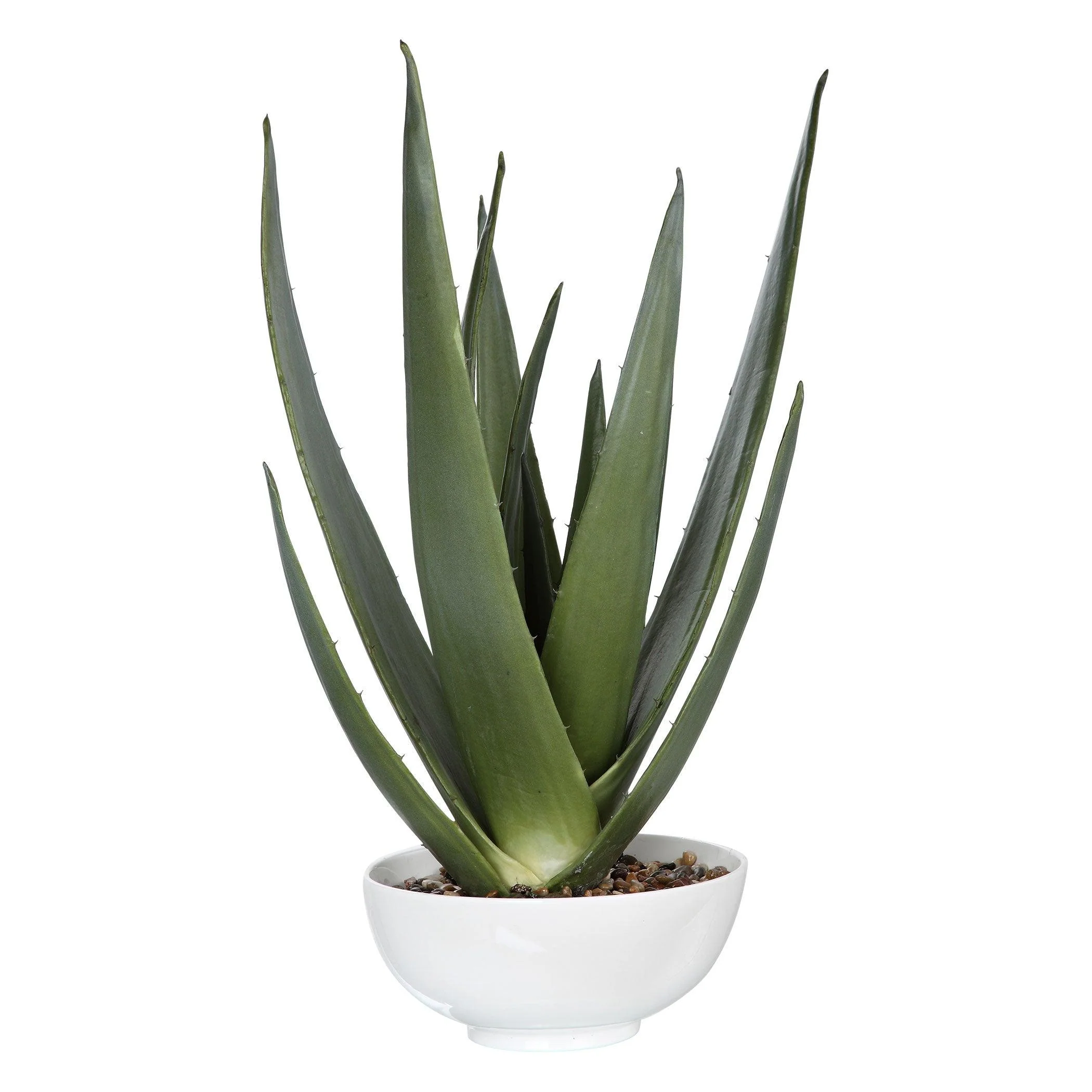 EVARADO ALOE PLANTER - Remutear