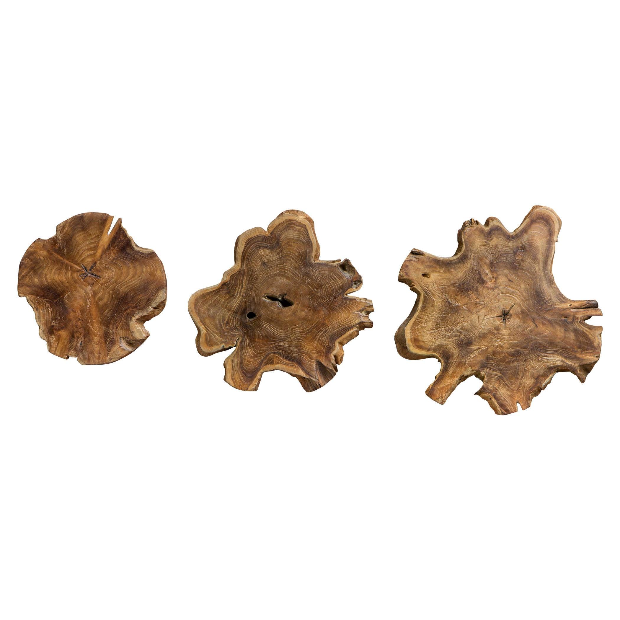 KALANI TEAK WALL ART SET/3 - Remutear