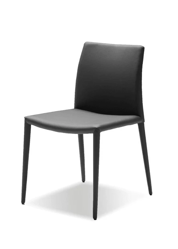 ZENO Dining Chair - Set Of 2 - Remutear