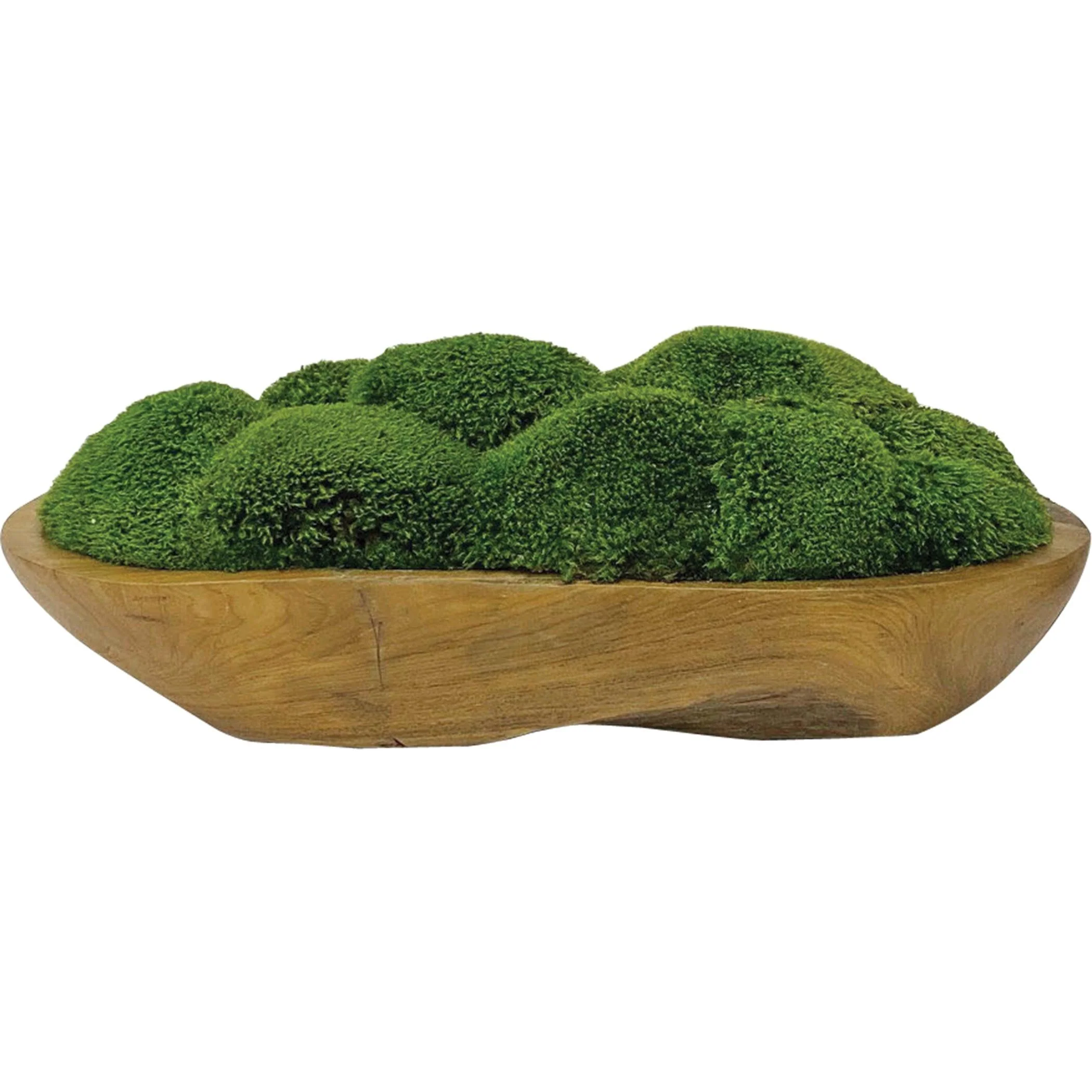 Kinsale Moss Centerpiece - Remutear