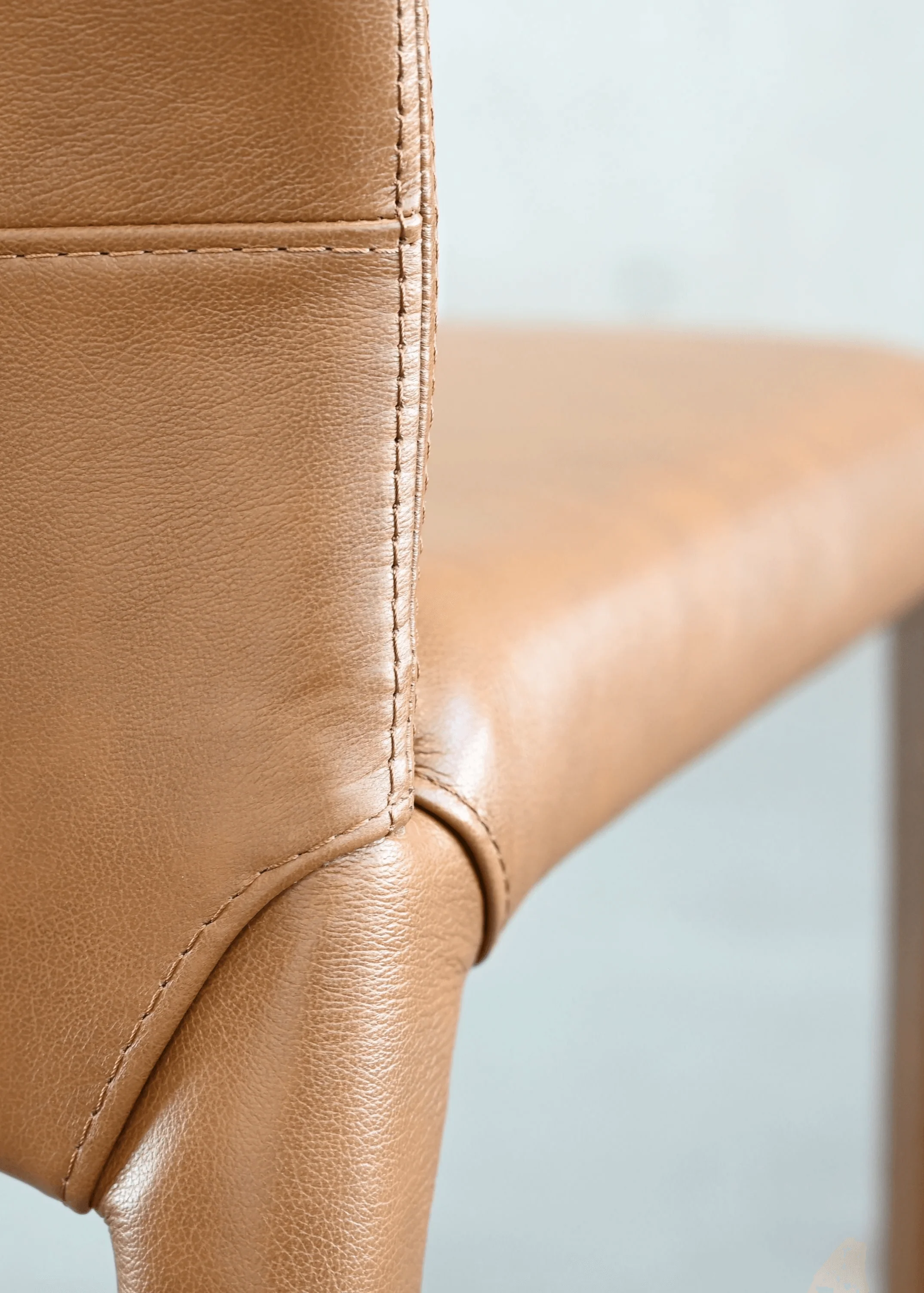 ZEG Dining Chair - Set Of 2 - Remutear
