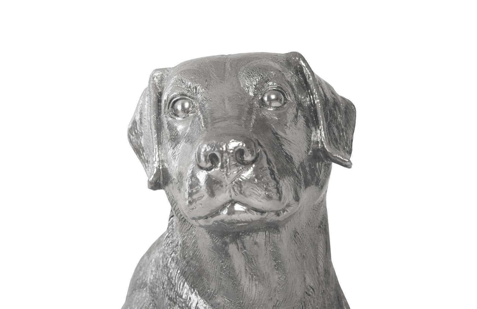 Labrador, Liquid Silver - Remutear