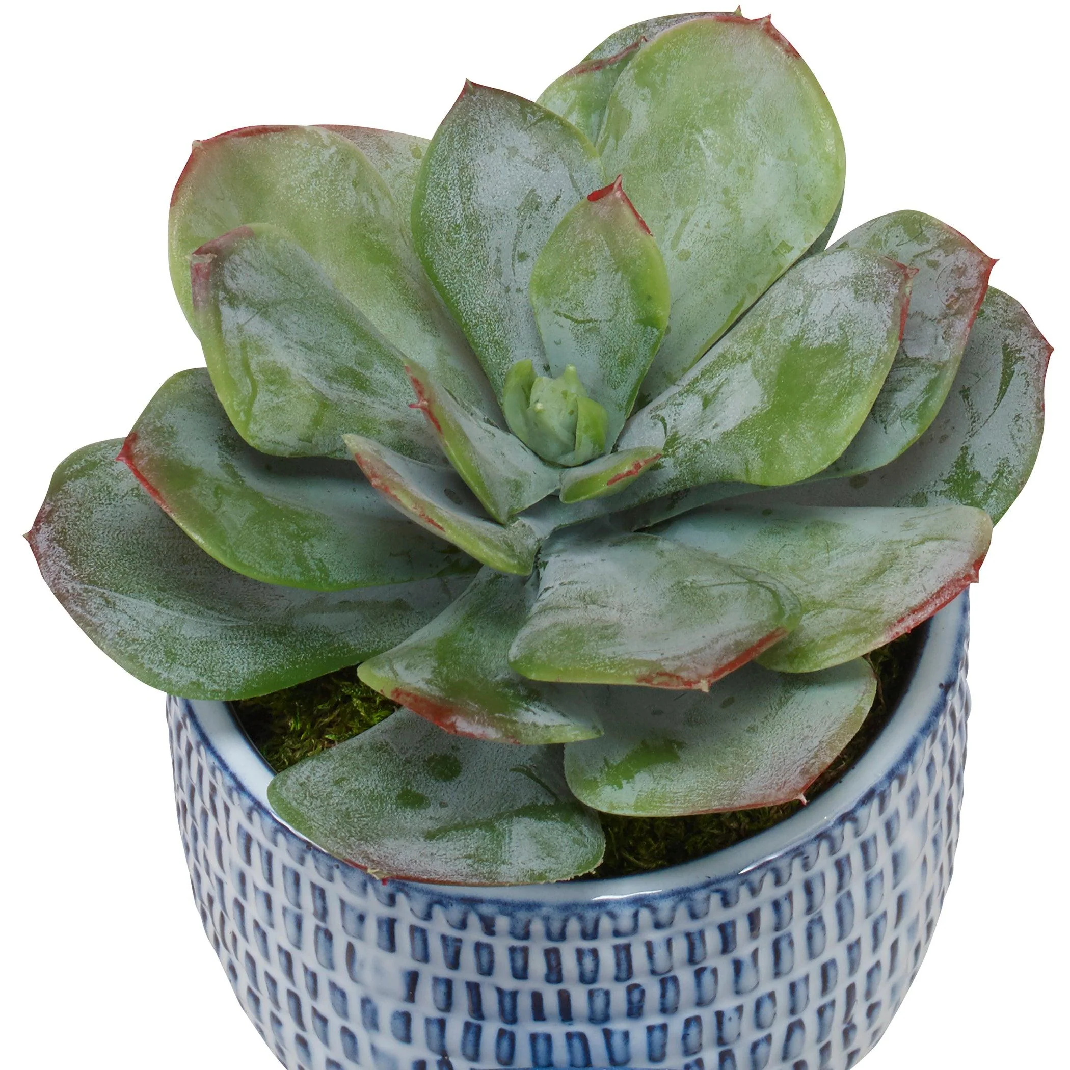 PUEBLA GREENERY IN BLUE & WHITE POTS, SET OF 3 - Remutear