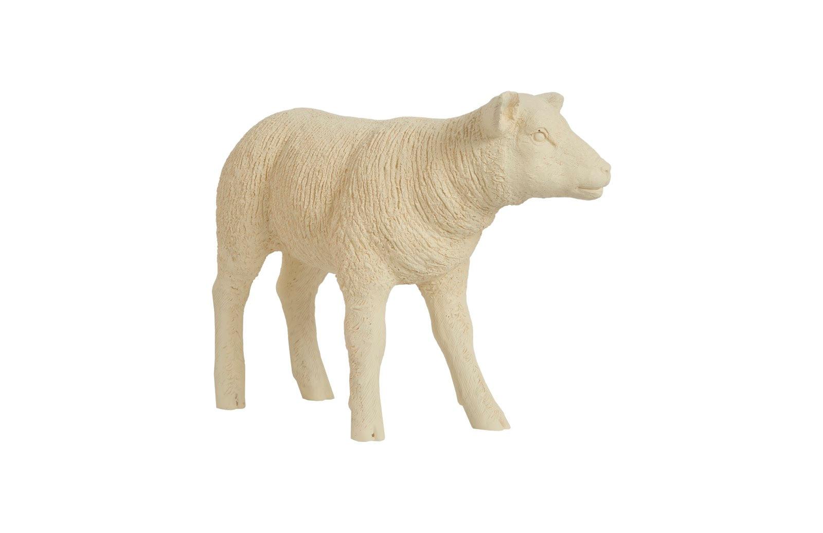 Texelaar Sheep, Lamb, Cream - Remutear
