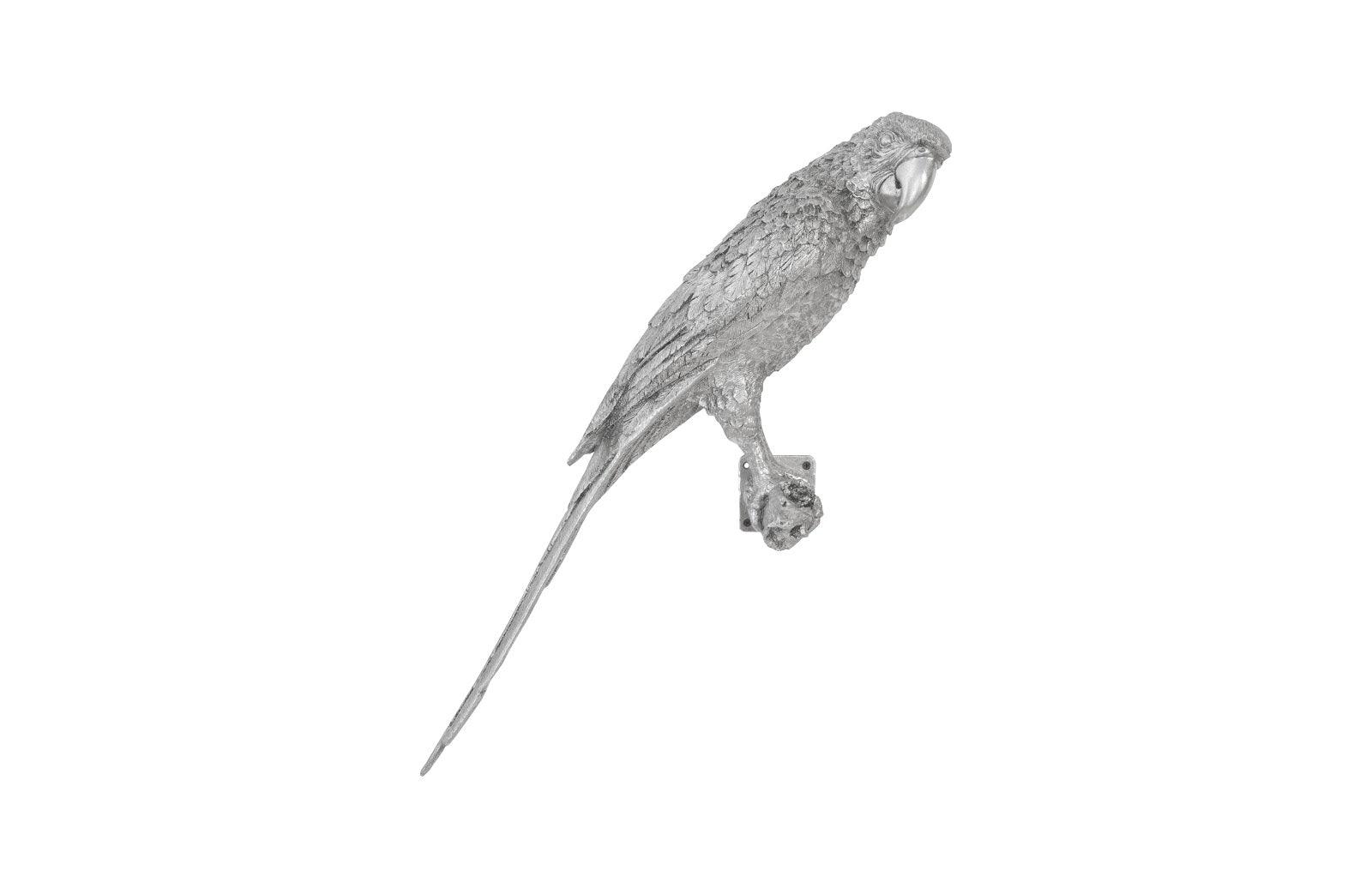 Parrot Looking Right Wall Art, Resin, Silver Leaf - Remutear