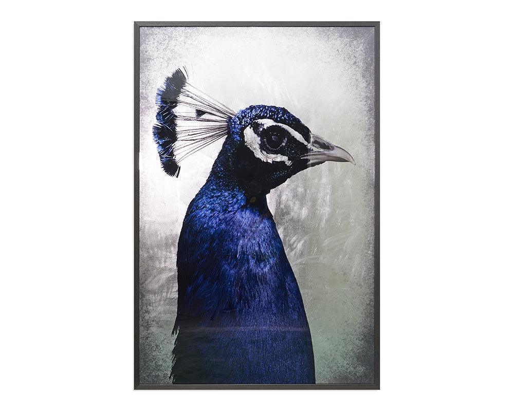 The Peacock - Remutear