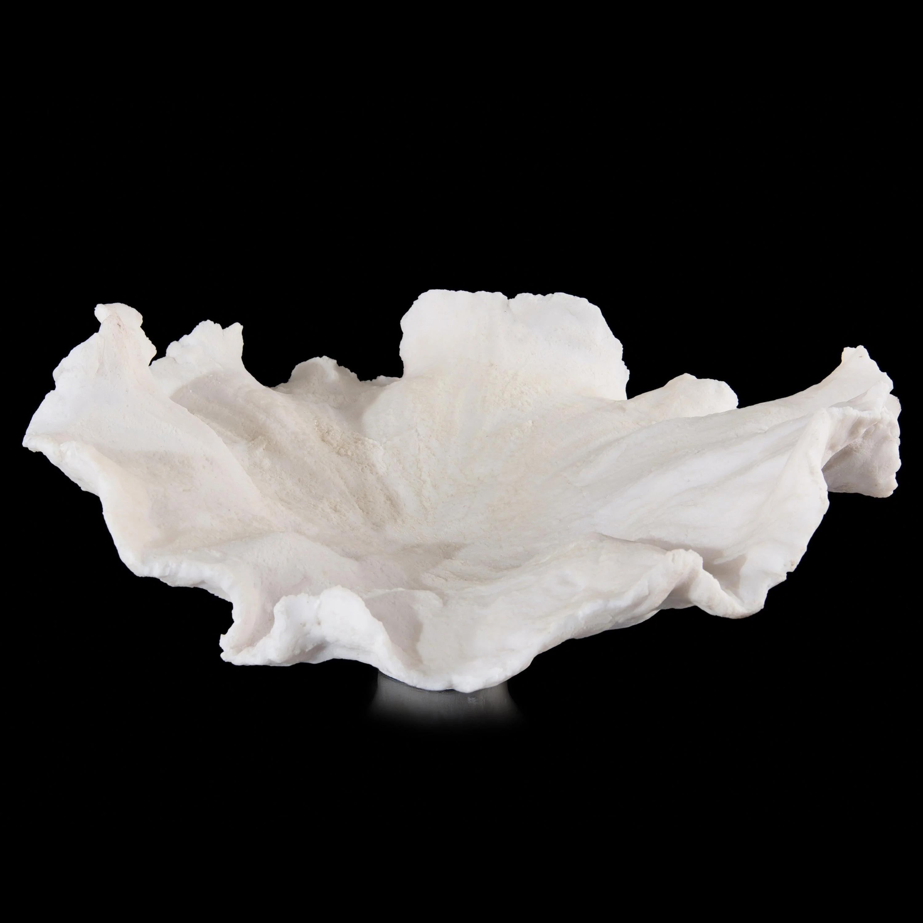 Floating Wave Bowl - Remutear