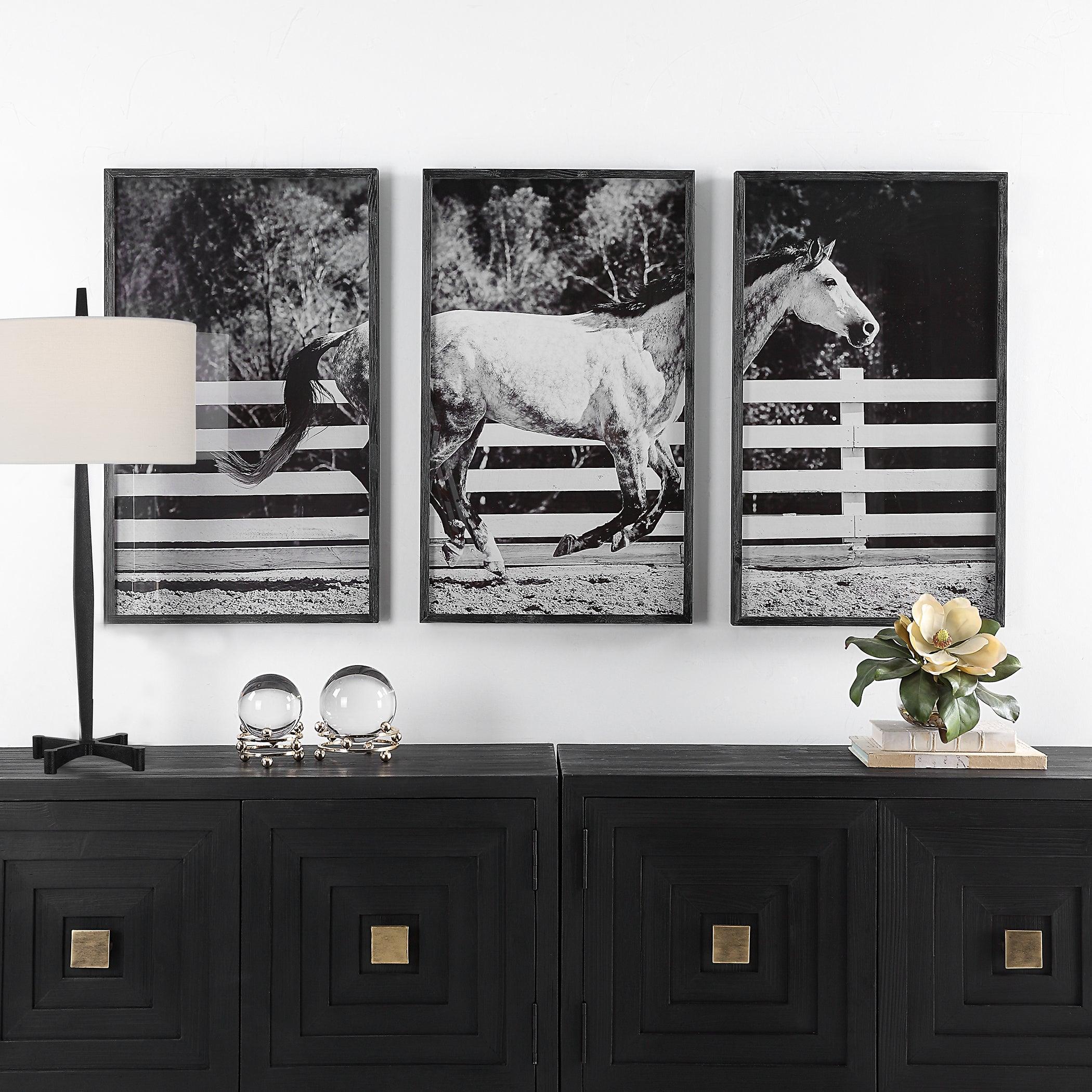 Galloping Forward Equine Prints, Set/3 - Remutear