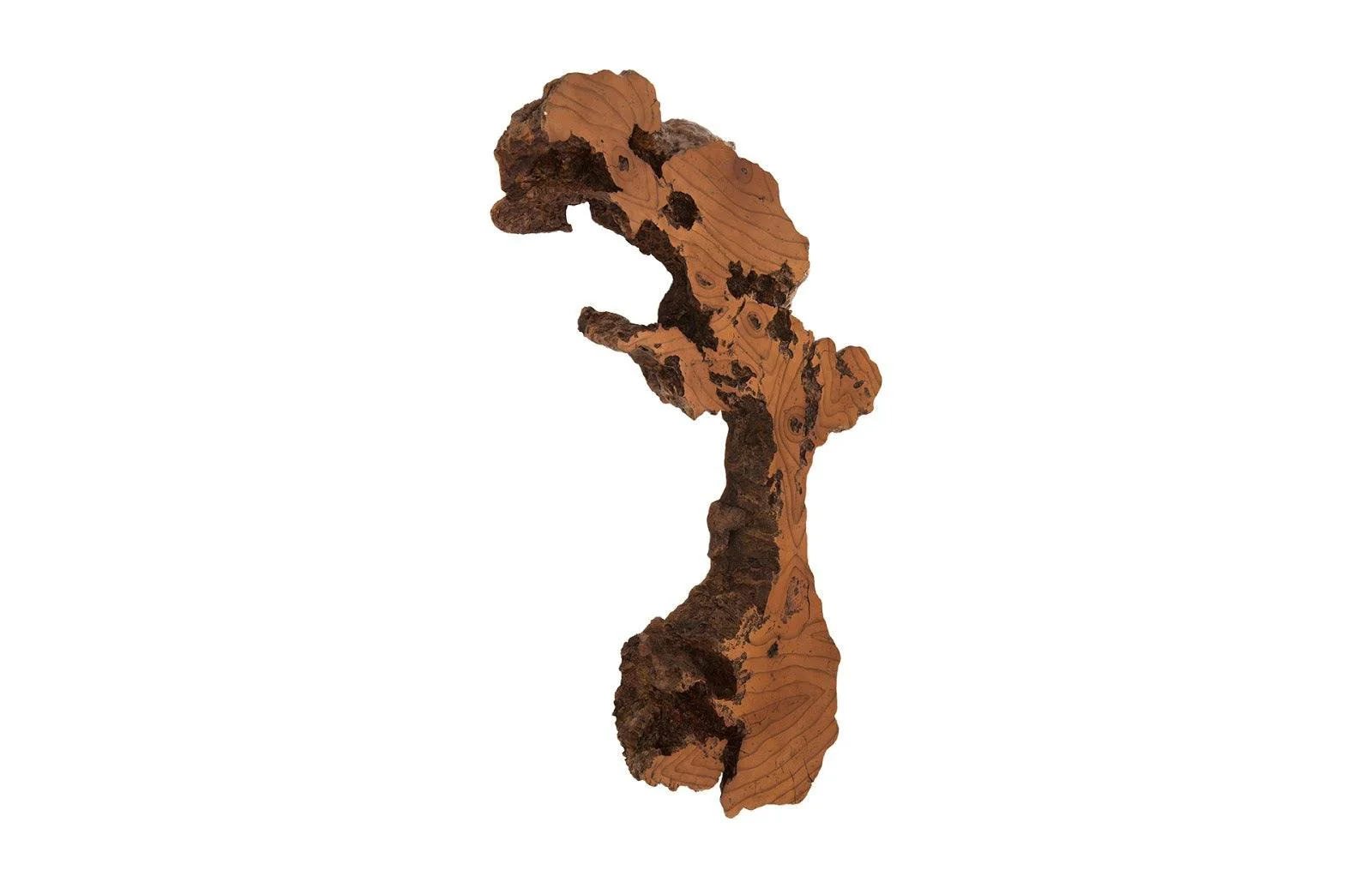 Burled Root Wall Art, Medium, Faux Bois Finish - Remutear