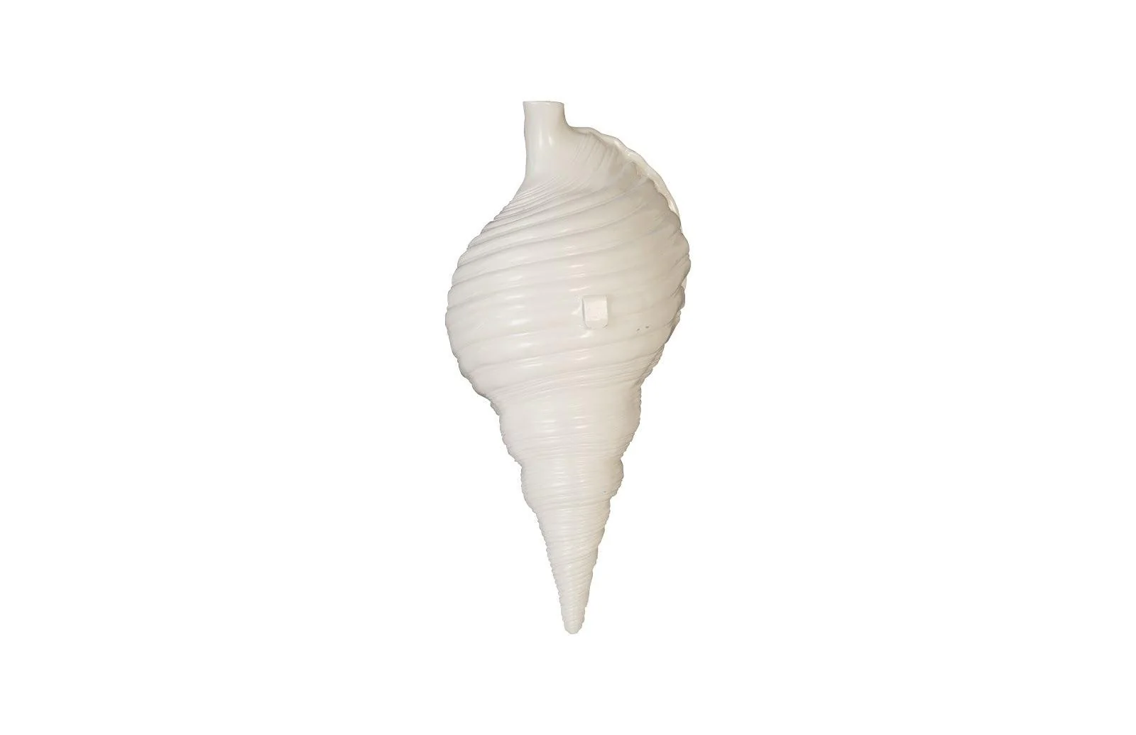 Triton Shell Wall Art, Pearl White and Gold Leaf - Remutear