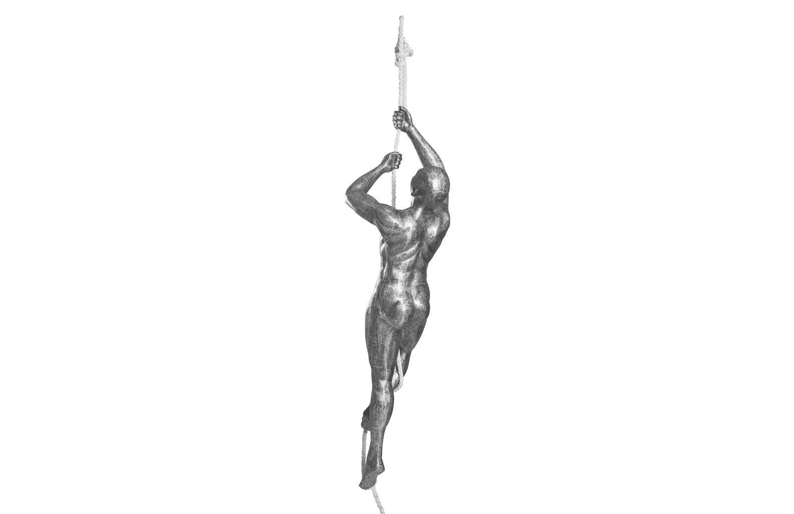Climbing Sculpture w/Rope, Black/Silver, Aluminum - Remutear
