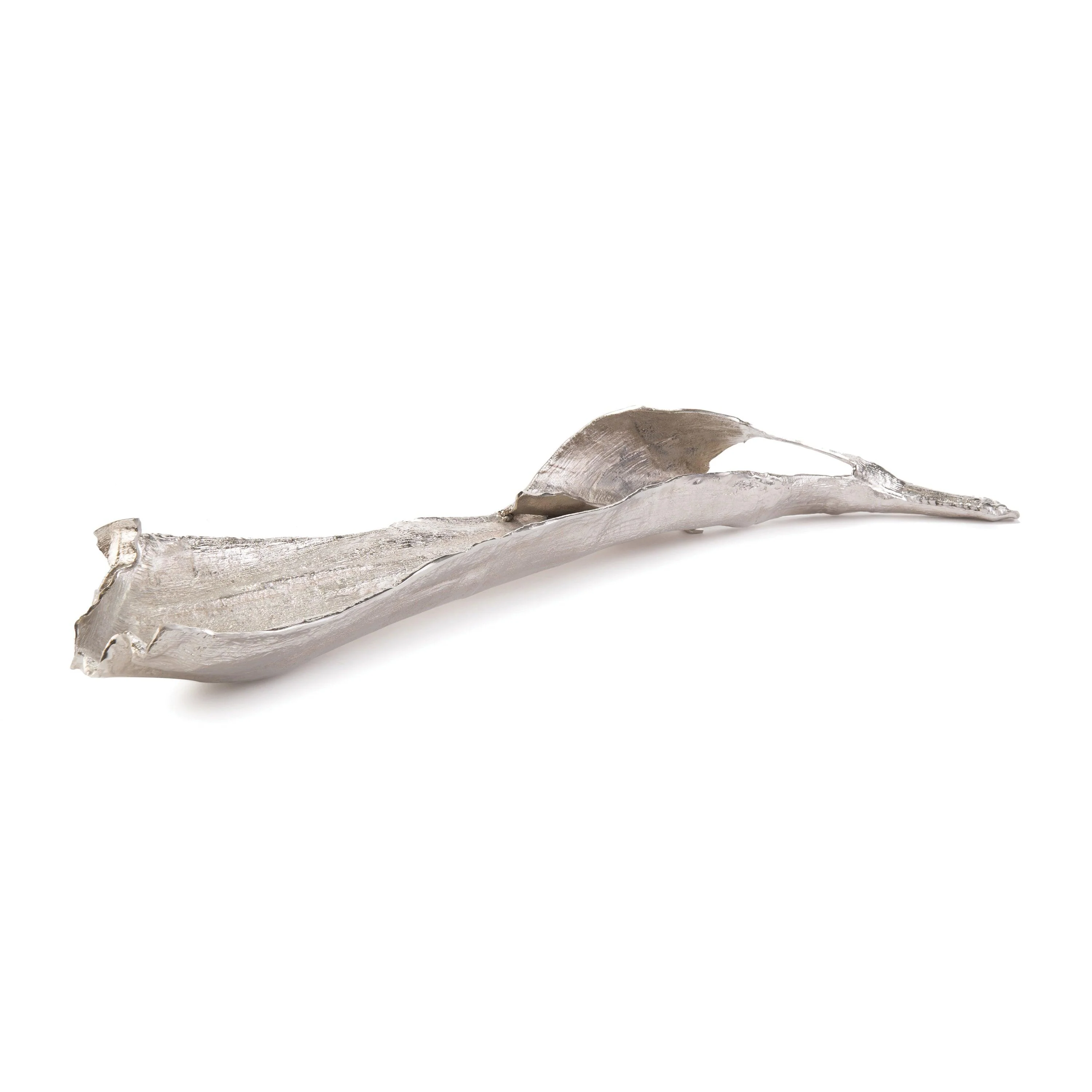 Colossal Curling Leaf - Remutear