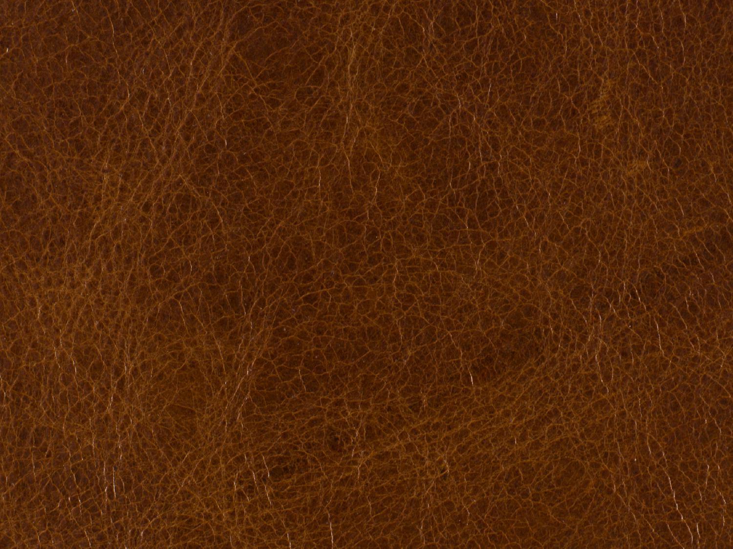 Shasta Recliner - Remutear