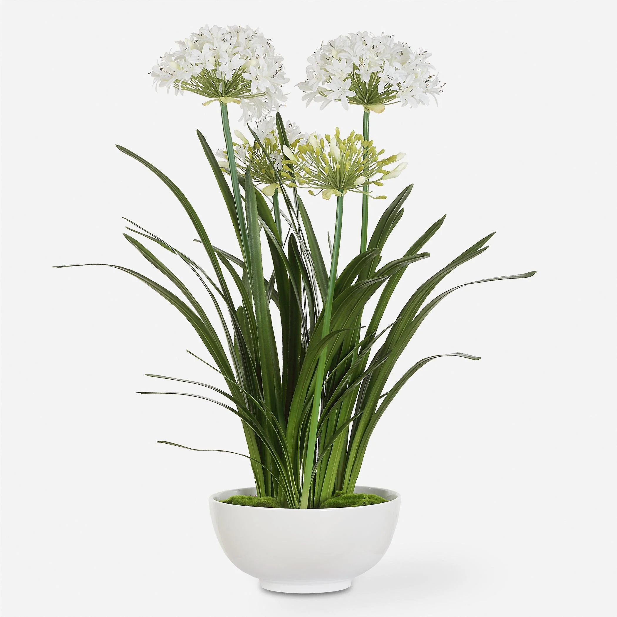 Purity Agapanthus Centerpiece - Remutear
