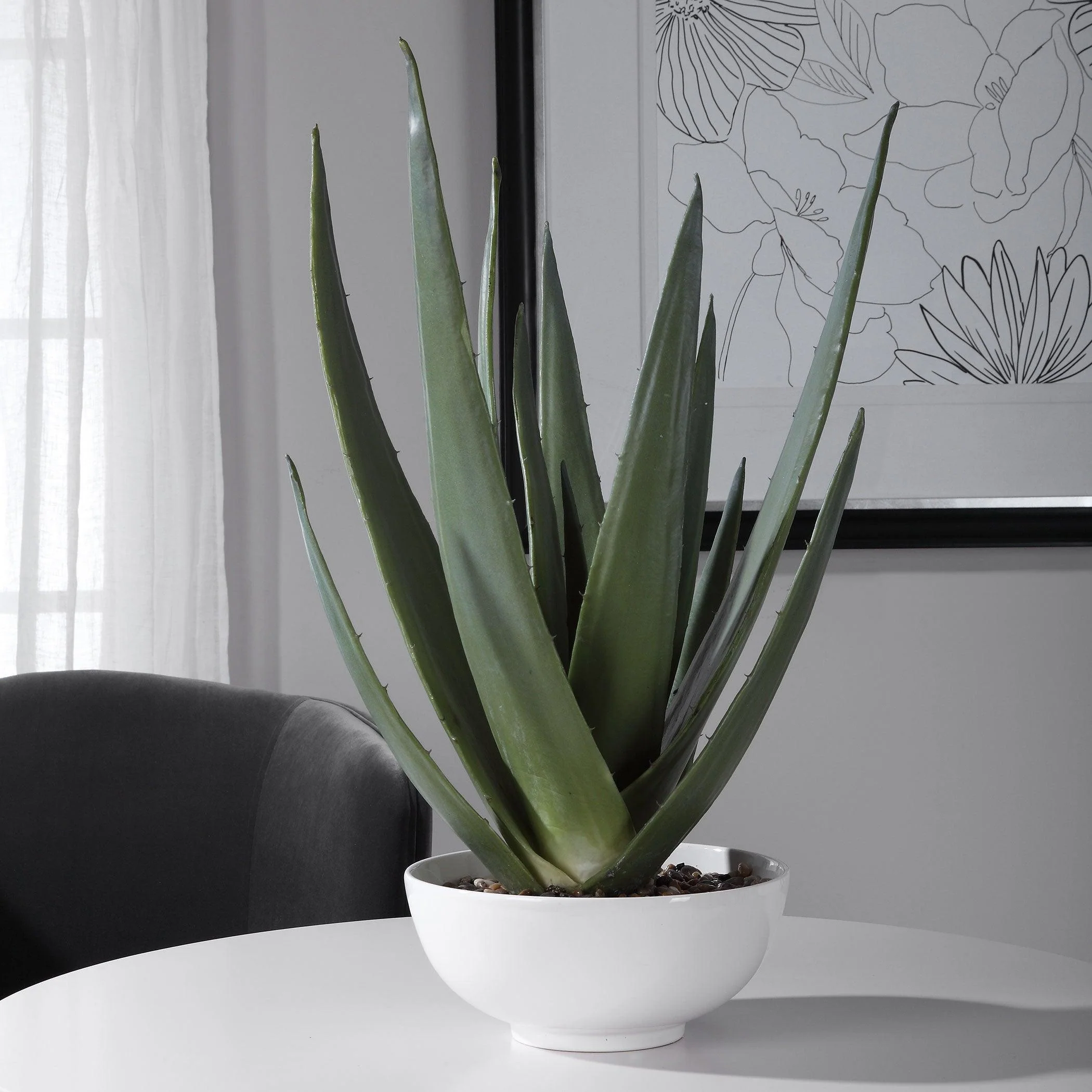 EVARADO ALOE PLANTER - Remutear
