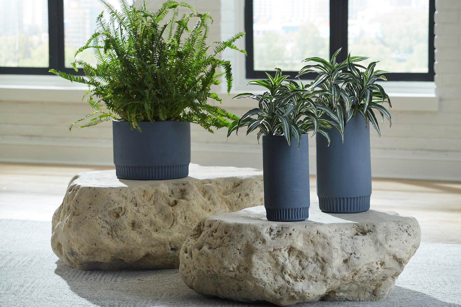 Harvest Planter, Large, Dark Gray - Remutear