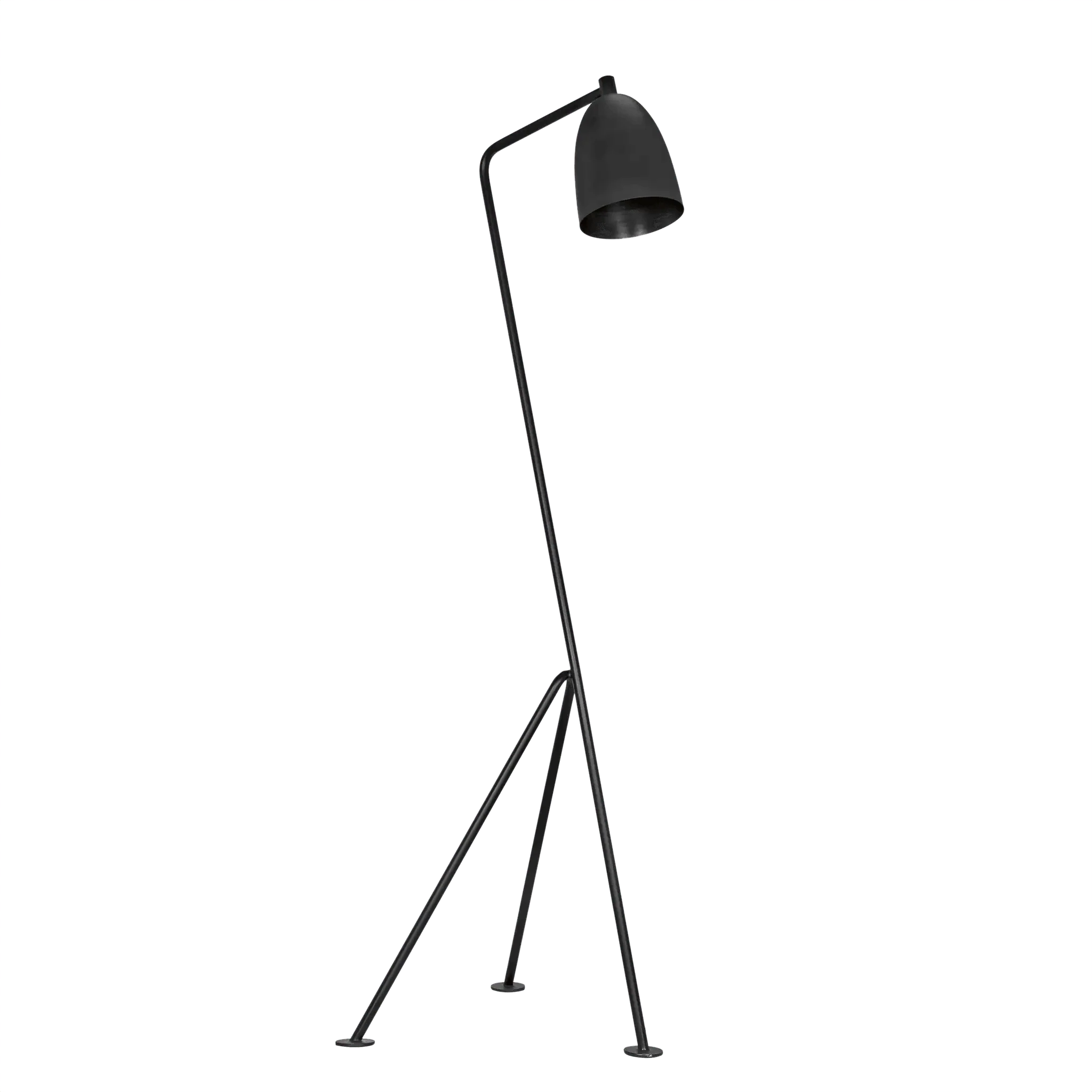 Asti Floor Lamp, Black Steel - Remutear