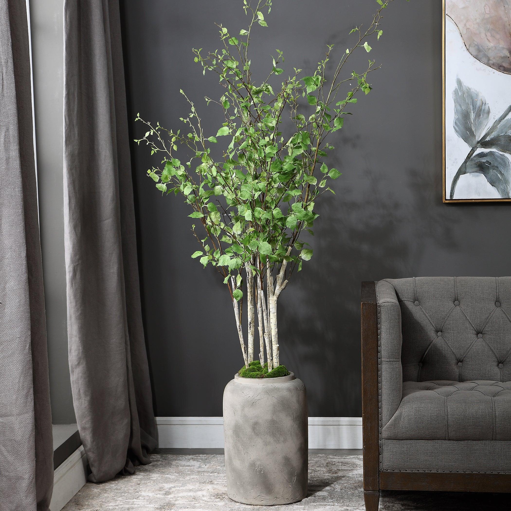 ALDIS POTTED RIVER BIRCH - Remutear