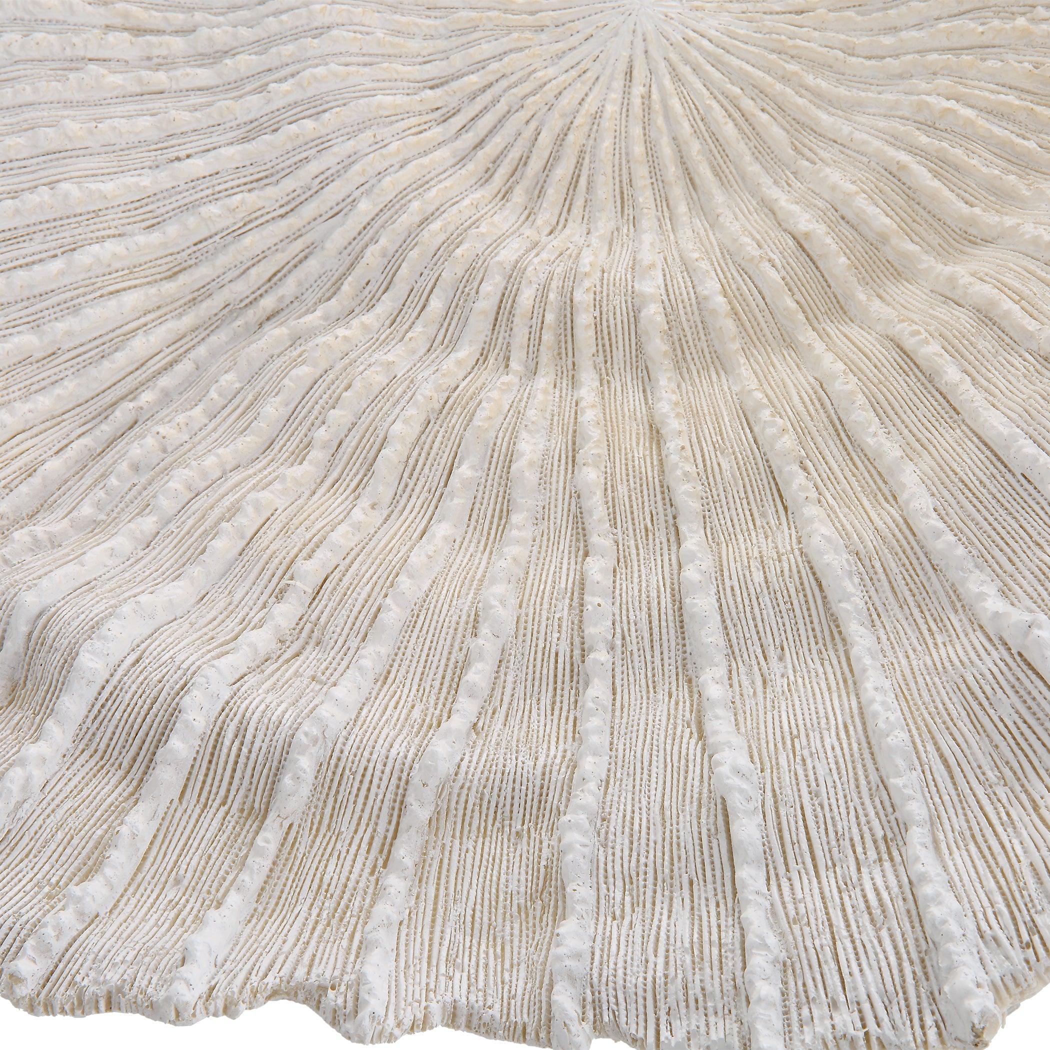 Ocean Gems Coral Wall Decor, Set/3 - Remutear
