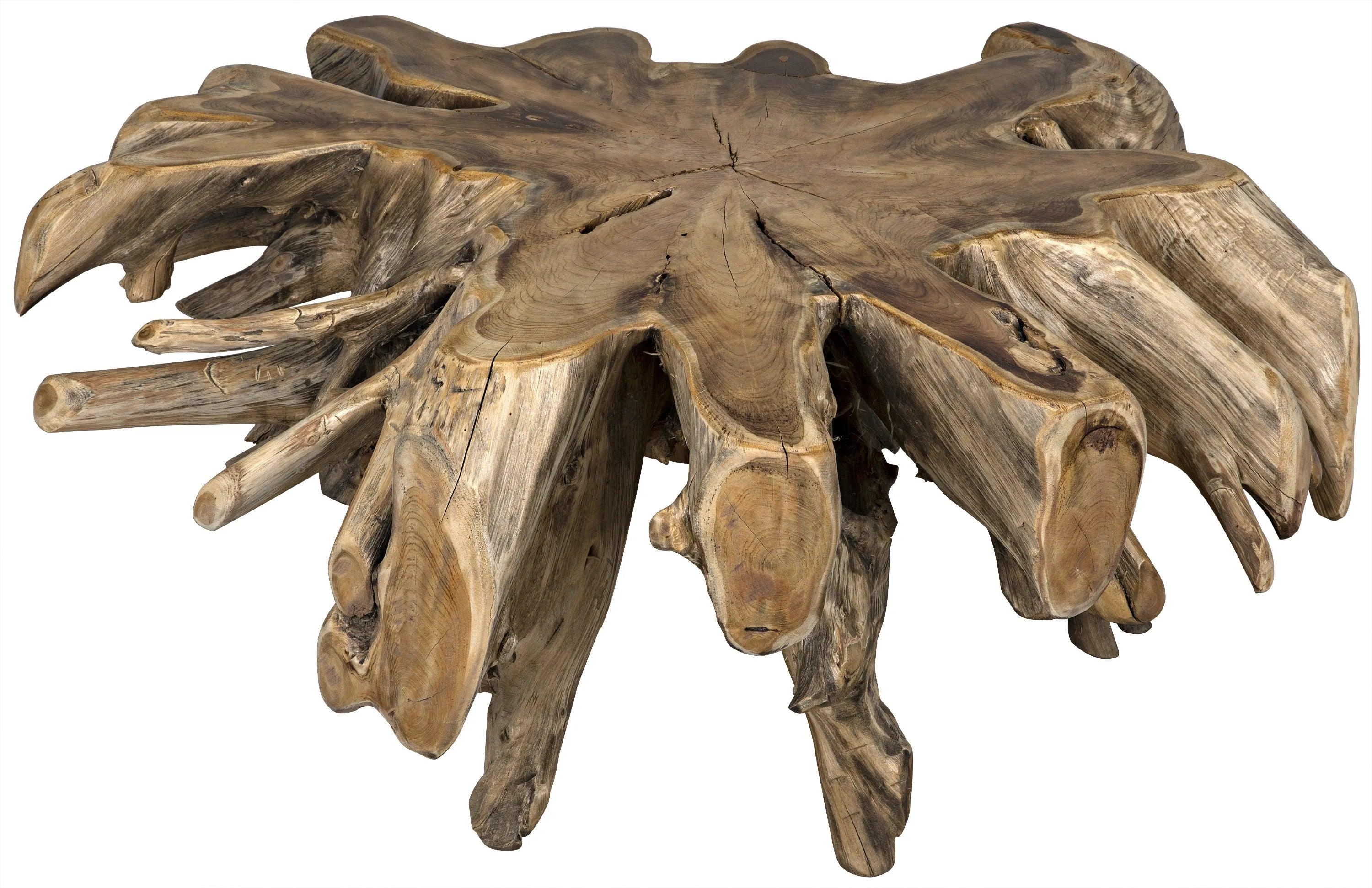 Teak Root Coffee Table - Remutear