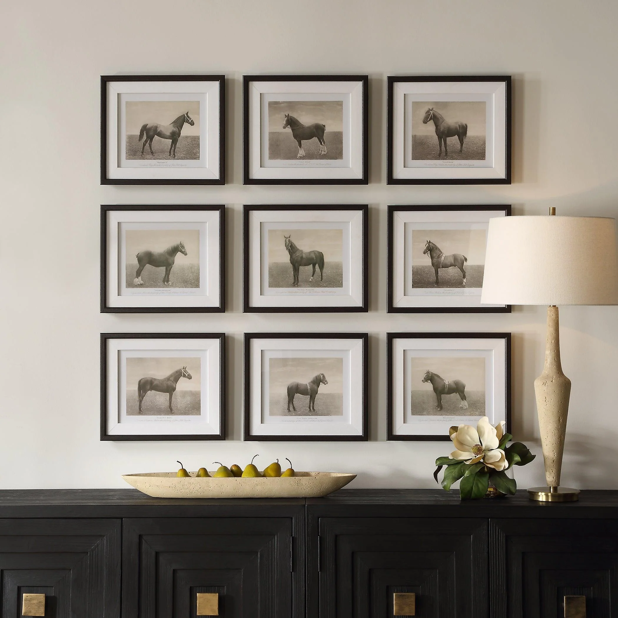Equine Dynasty Framed Prints, S/9 - Remutear