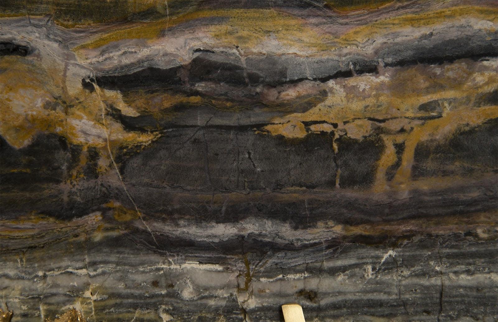 Gem Wall Tile in Brass Setting, Earth Marble - Remutear
