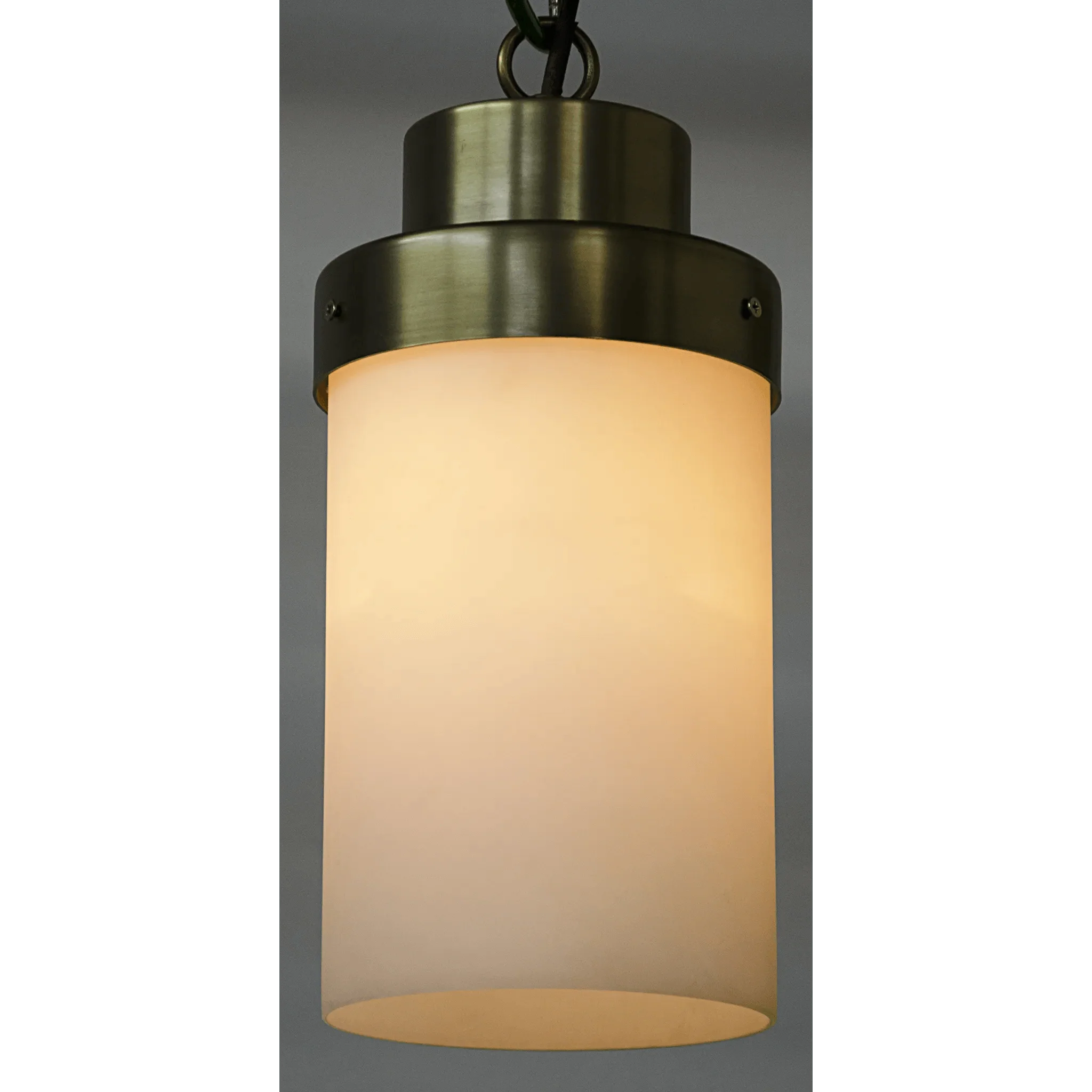 Eleonore Pendant, Steel with Brass Finish - Remutear