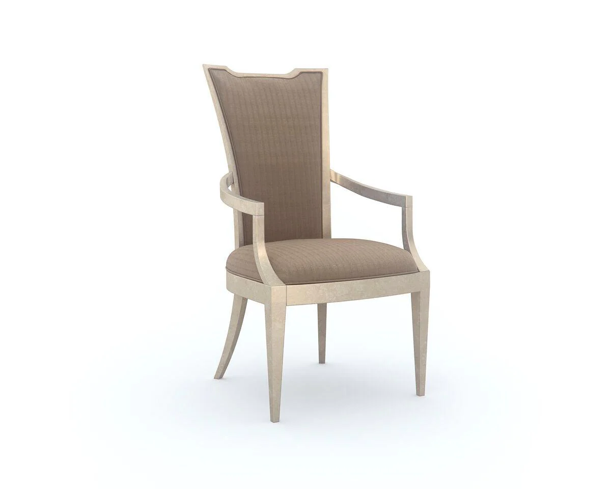 VERY APPEALING DINING ARM CHAIR - SET OF 2 - Remutear