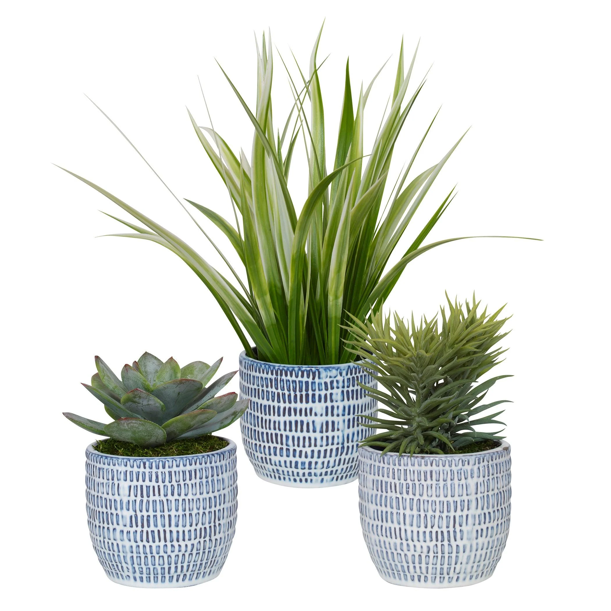 PUEBLA GREENERY IN BLUE & WHITE POTS, SET OF 3 - Remutear