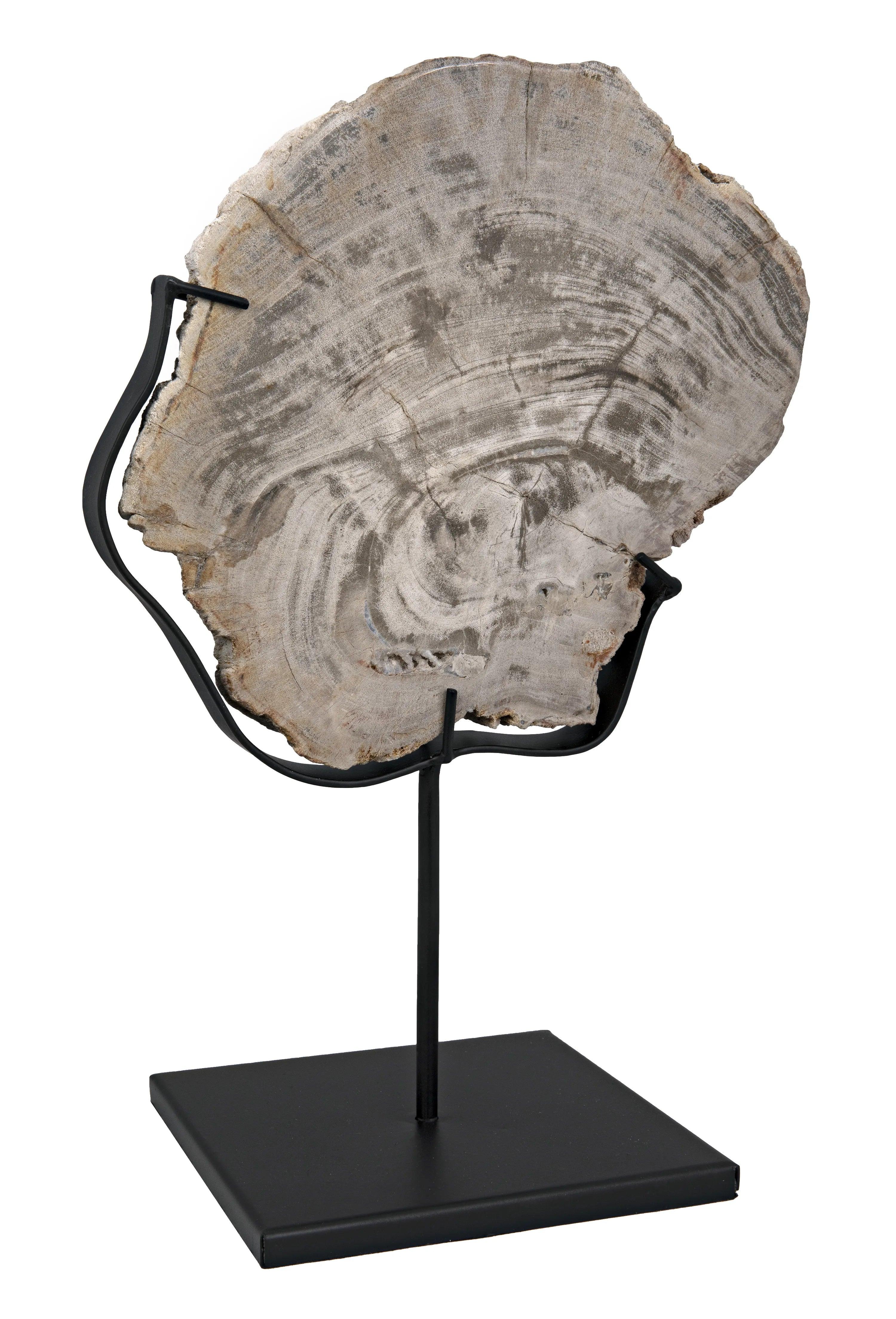 Wood Fossil with Stand, 8