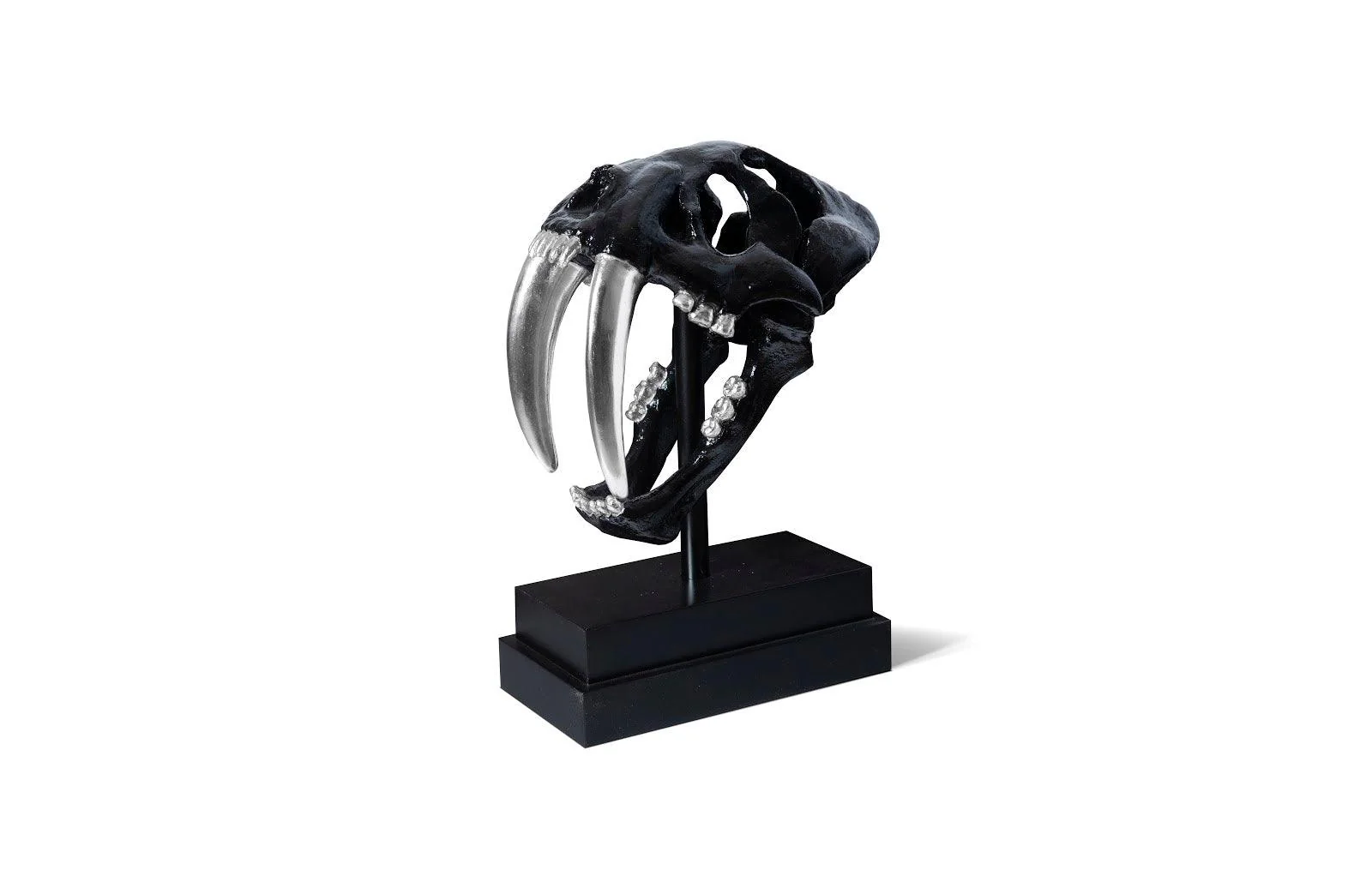 Saber Tooth Tiger Skull, Black - Remutear