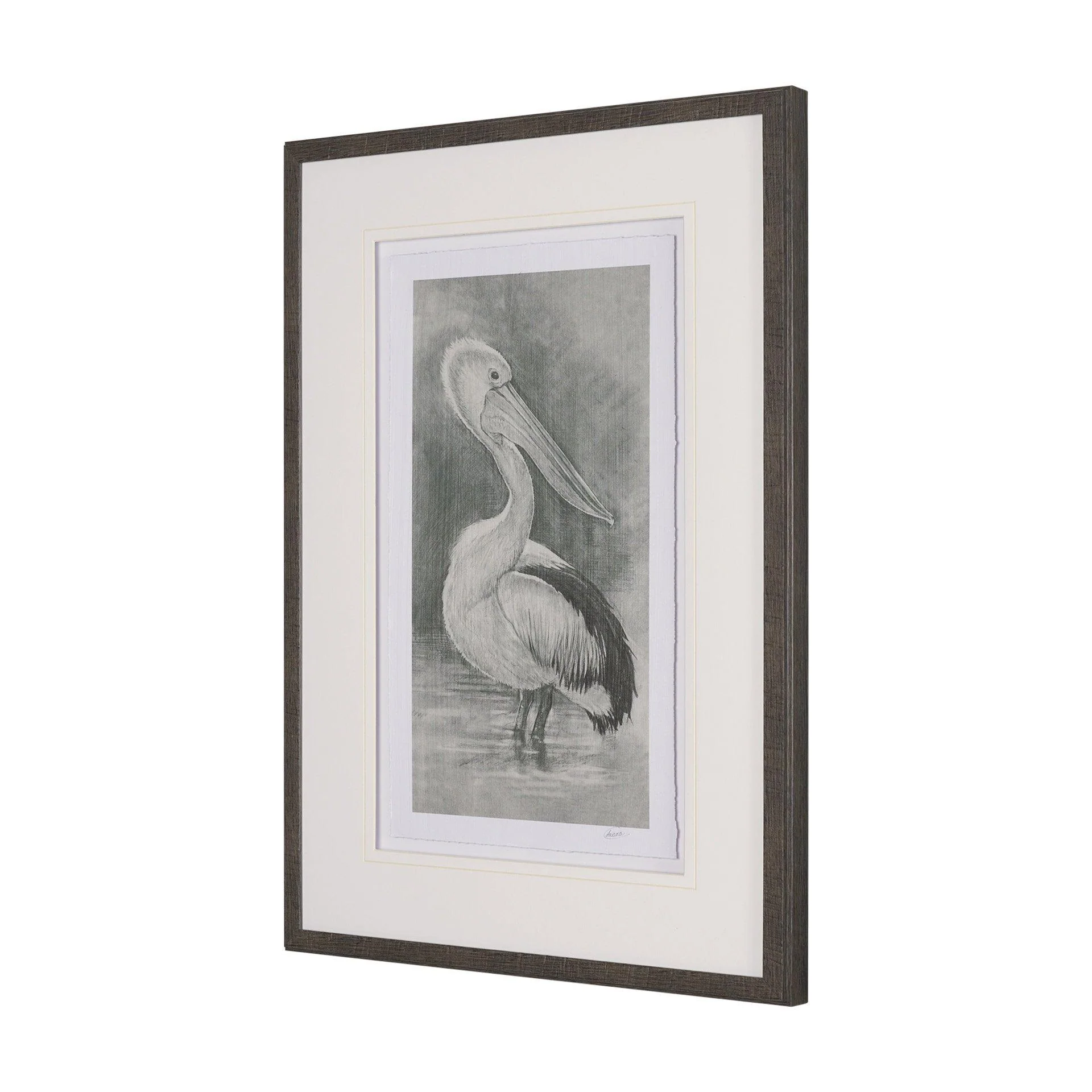 Pelican Sketch - Remutear