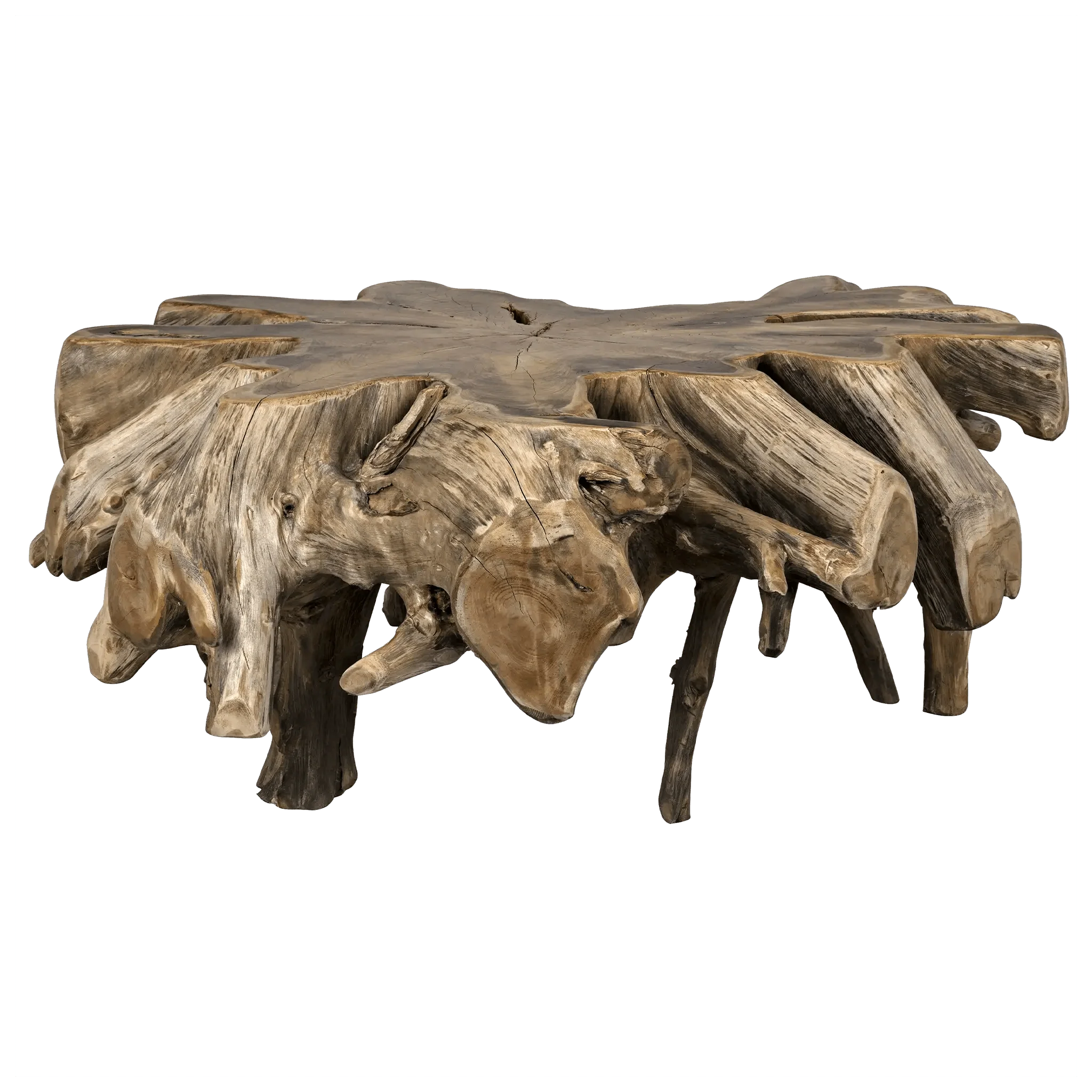 Teak Root Coffee Table - Remutear