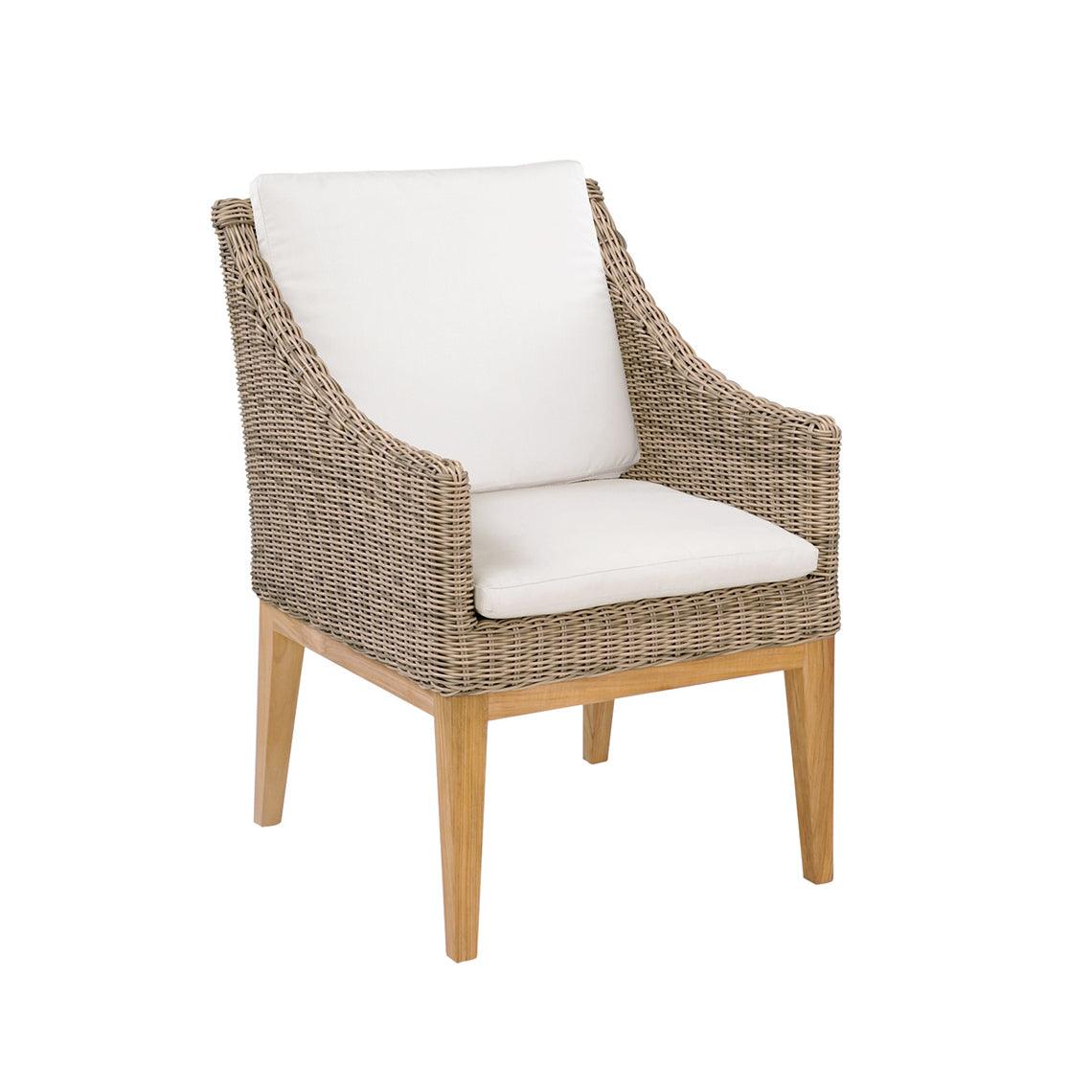 Frances Dining Armchair - Set of 2 - Remutear