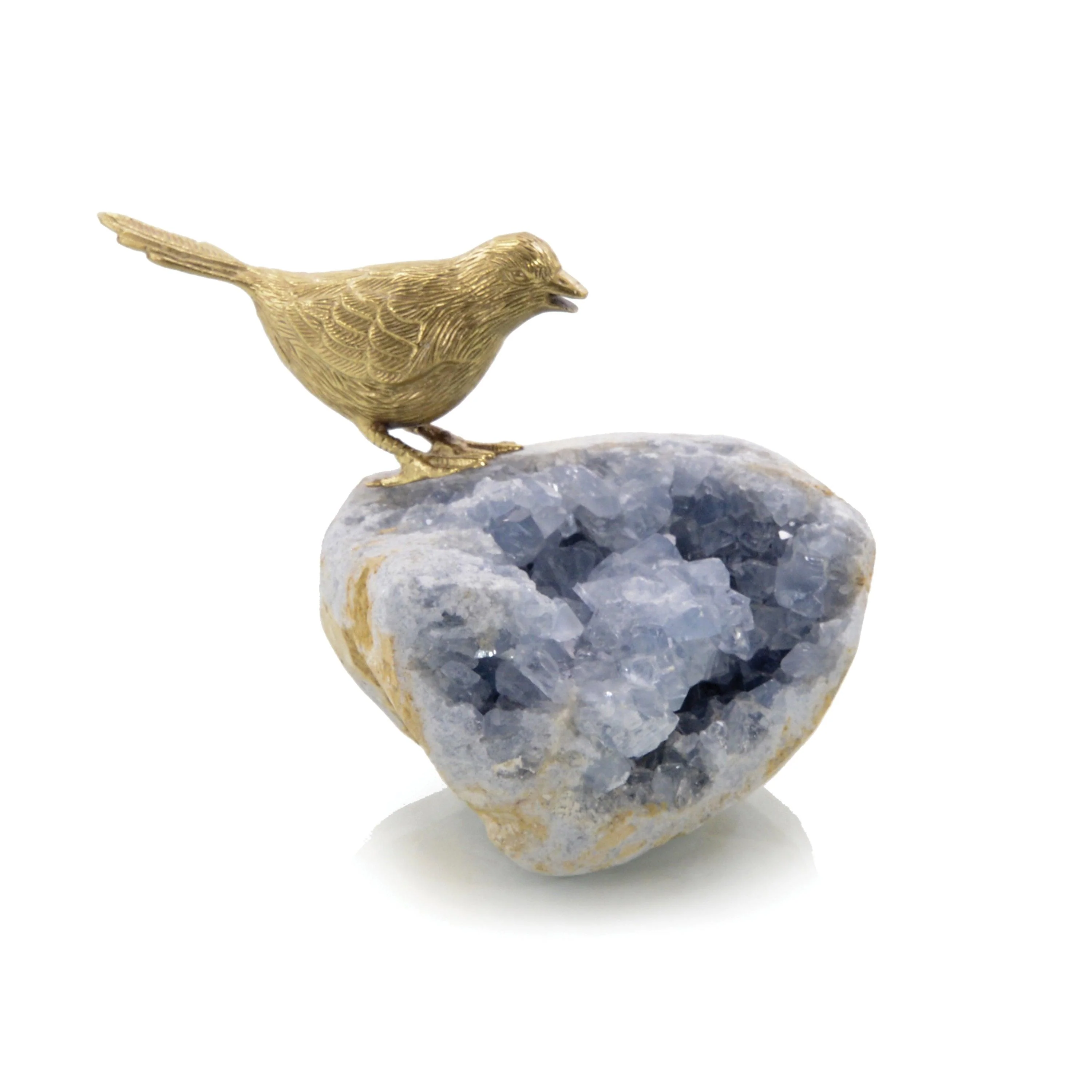 Bird On Celestite Rock I - Remutear