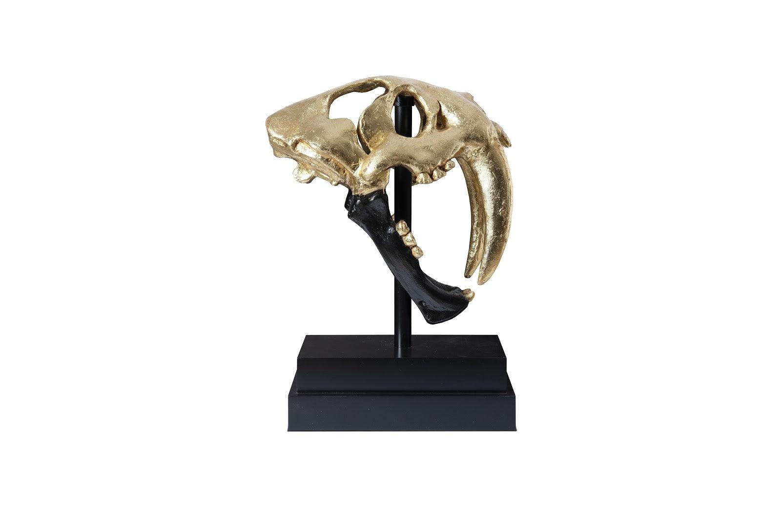 Saber Tooth Tiger Skull, Black, Gold Leaf - Remutear