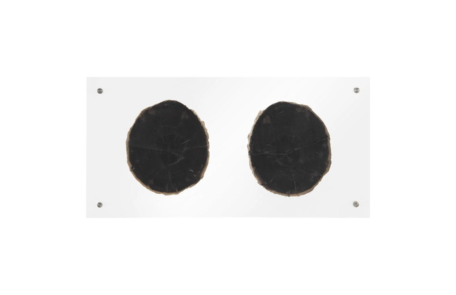 Floating Petrified Double Slice Wall Art - Remutear