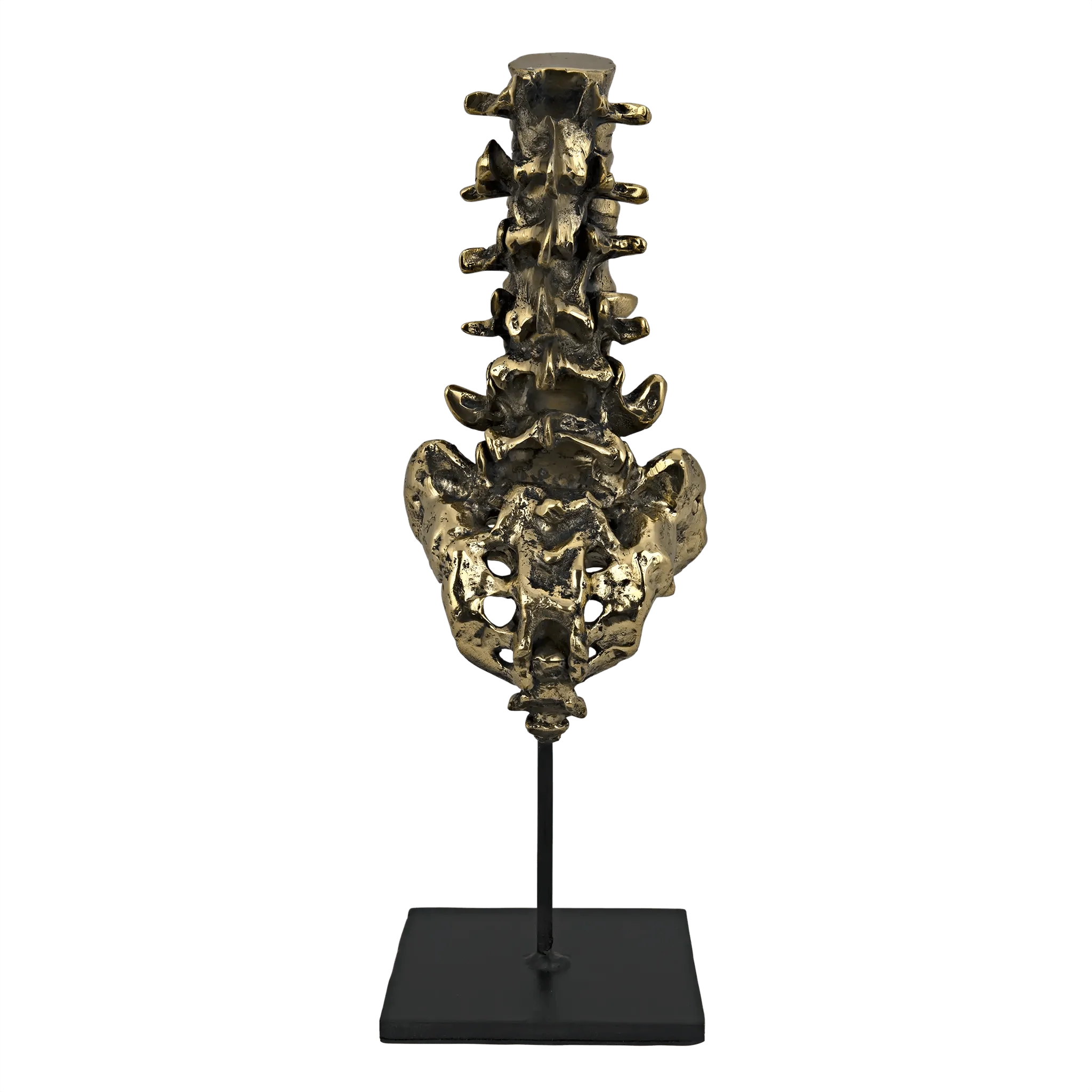 Vertebrae, Brass and Steel - Remutear