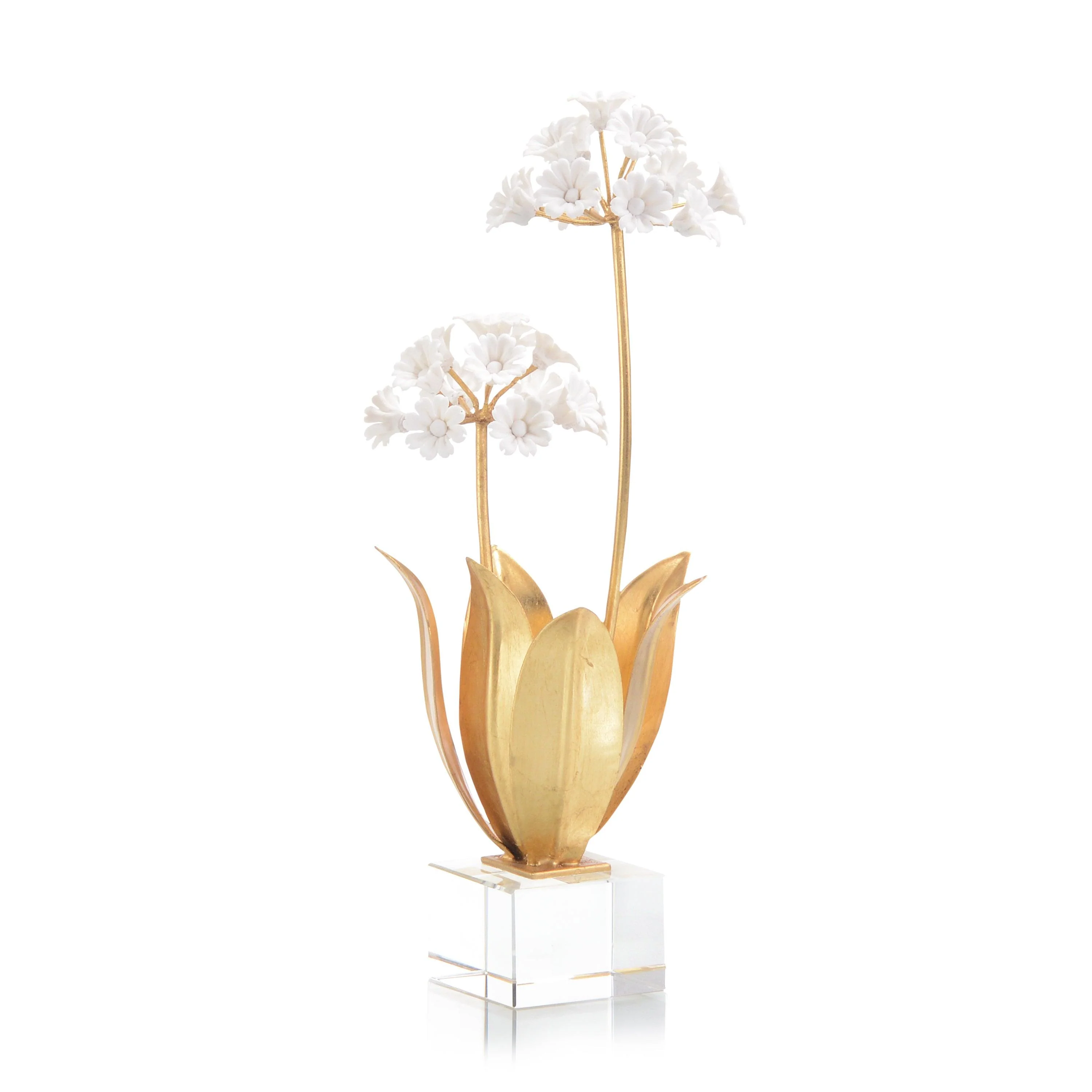Allium Moly In Porcelain - Remutear