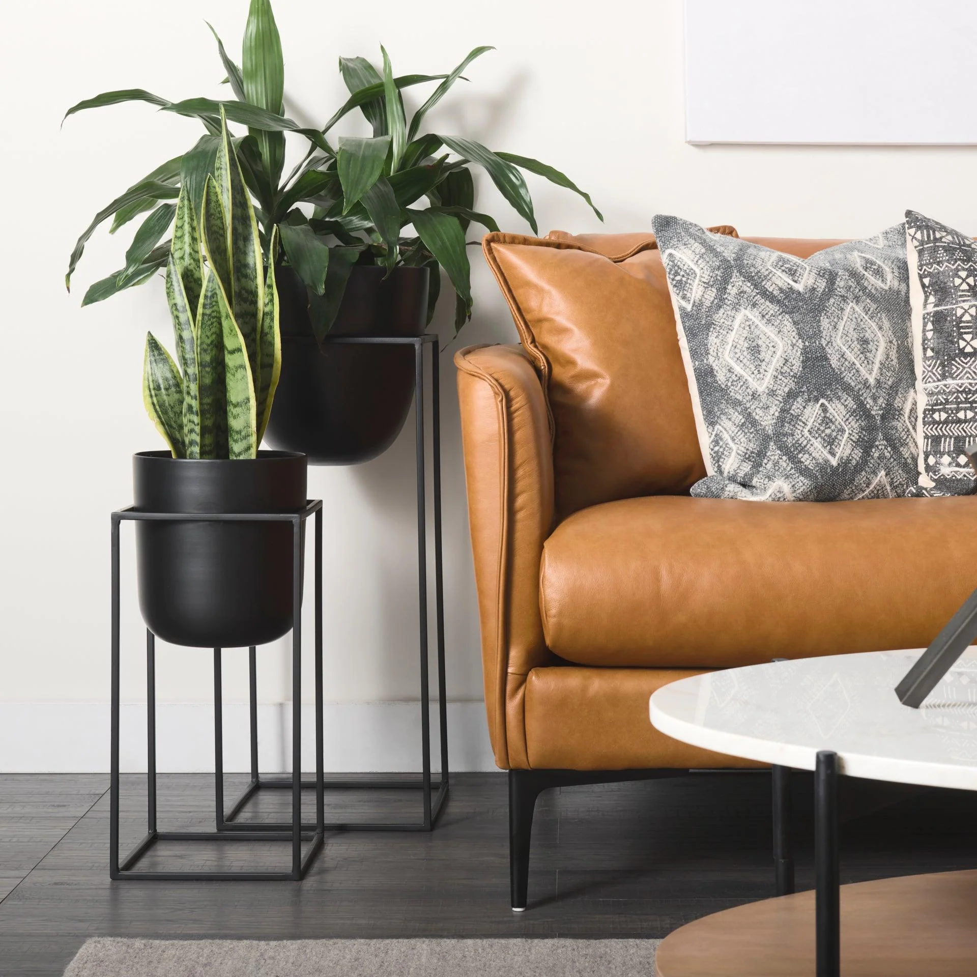 Bumble Plant Stands - Remutear
