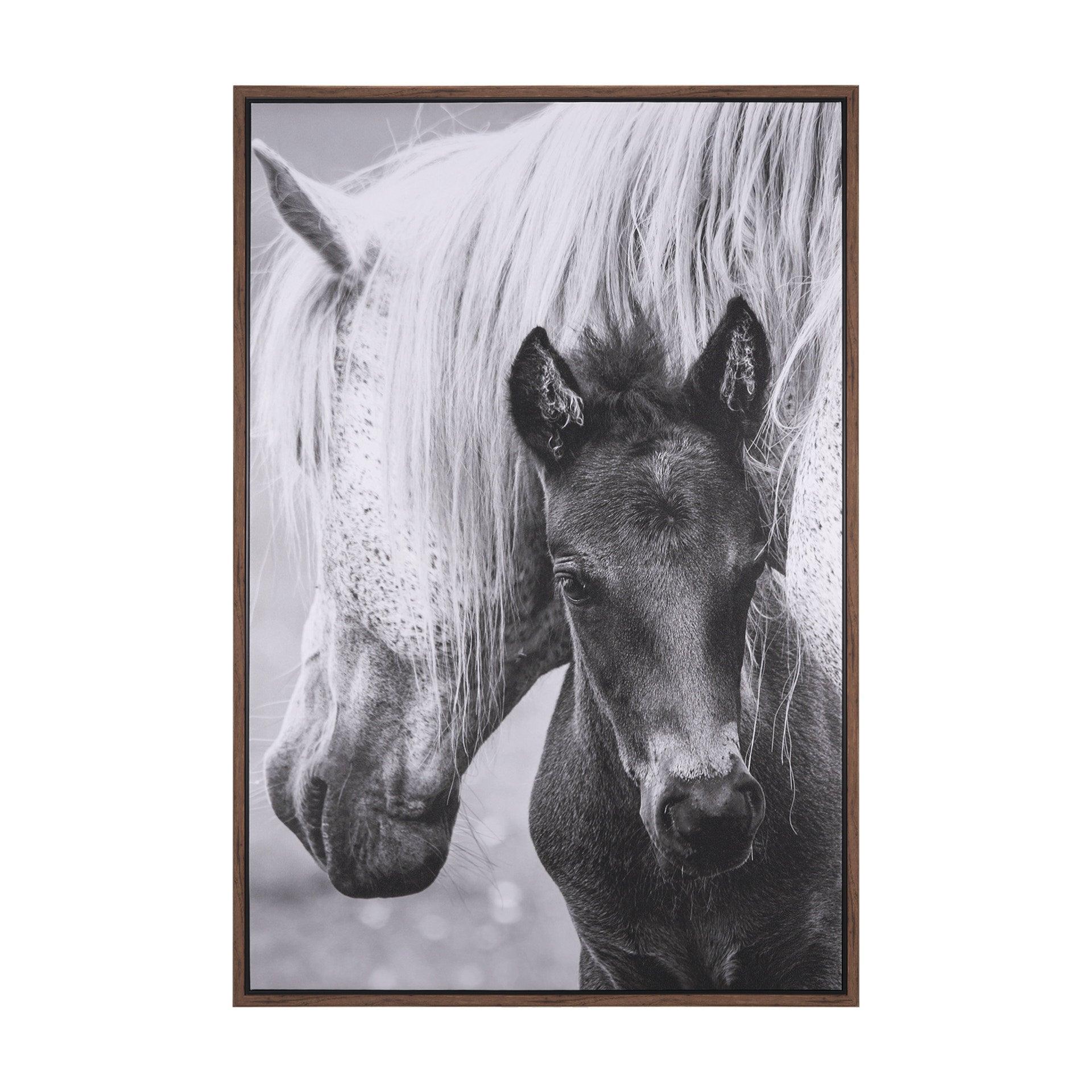 The Foal - Remutear