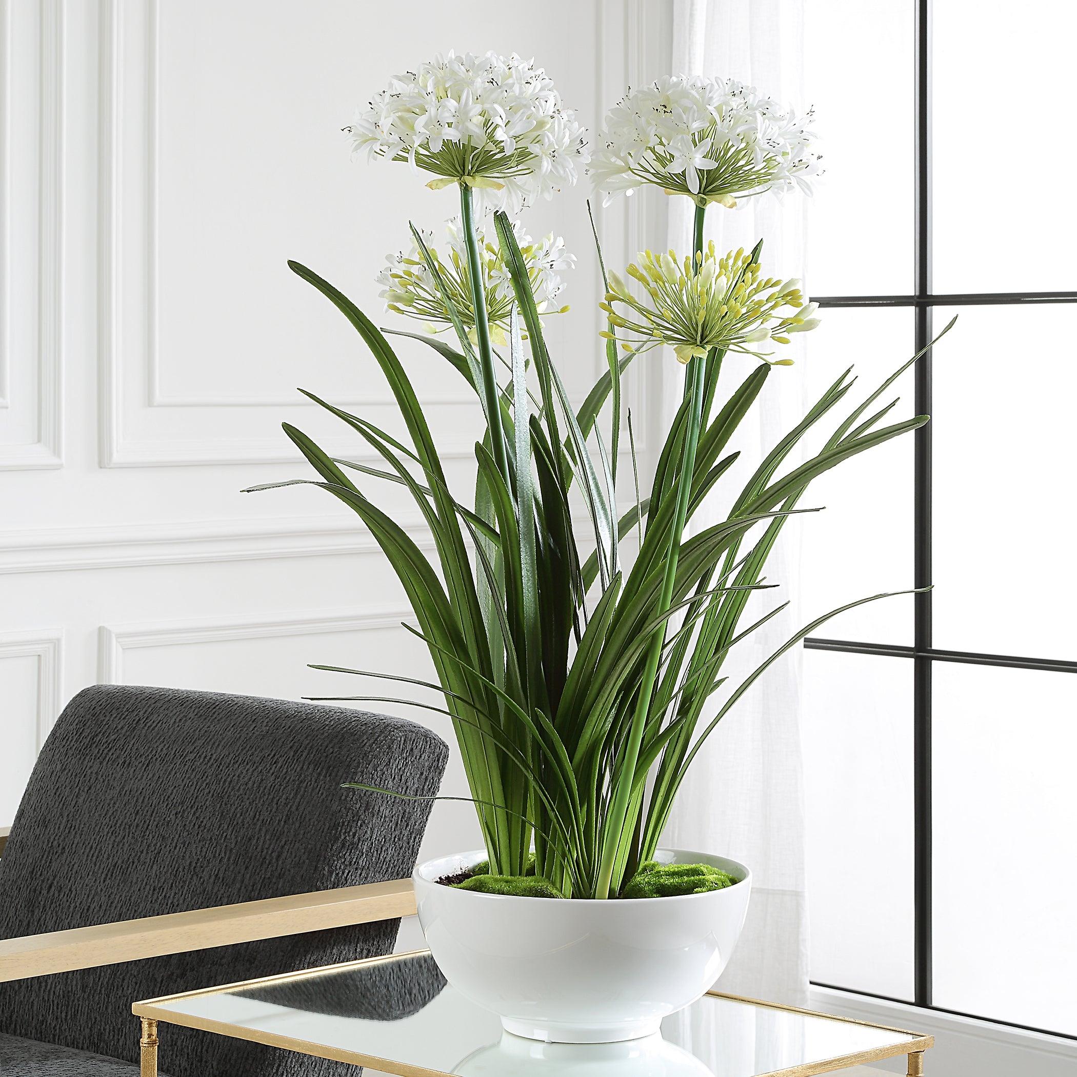 Purity Agapanthus Centerpiece - Remutear