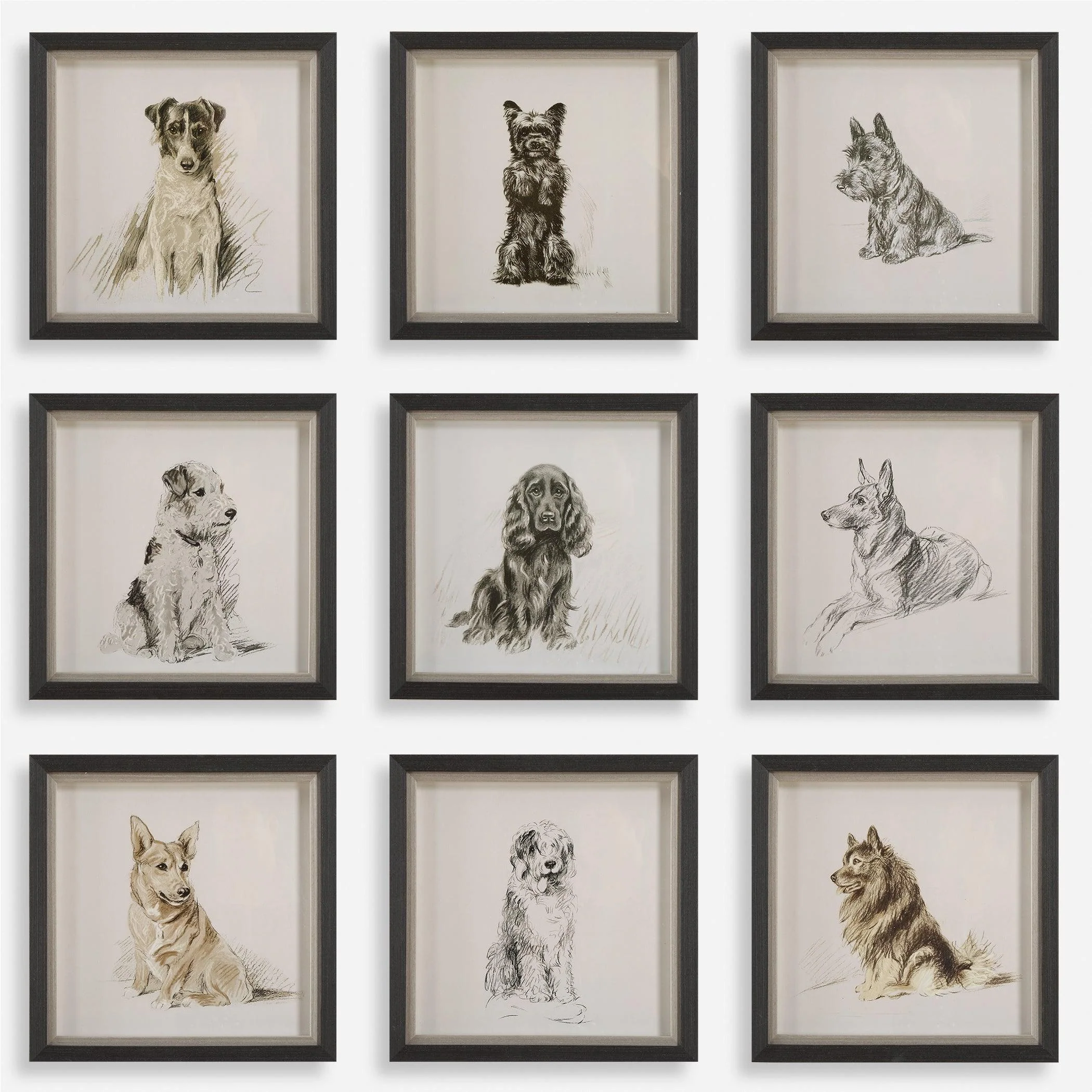 Loyal Companion Framed Dog Prints, S/9 - Remutear