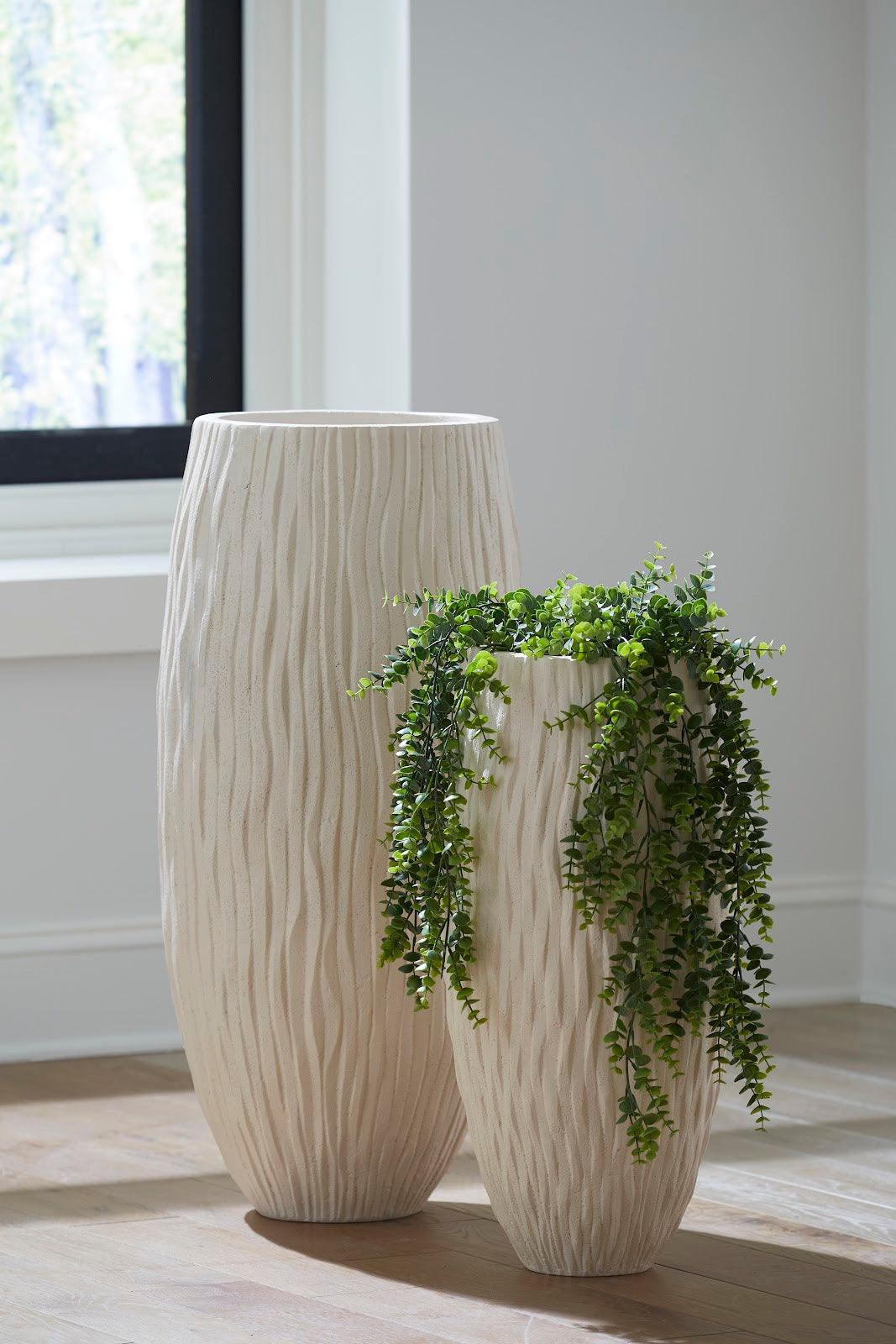 Rucco Planter, MD - Remutear